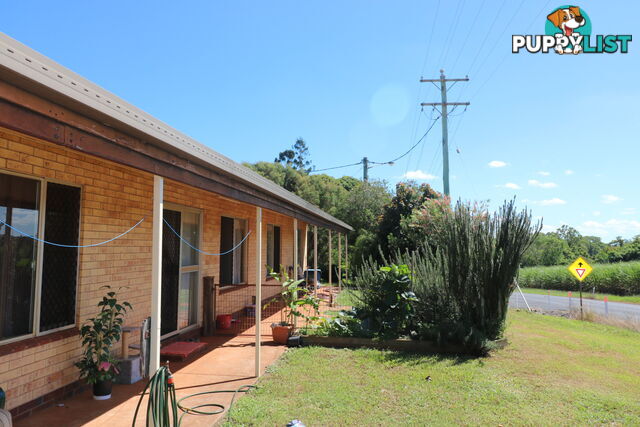 123 Lucketts Rd Doolbi QLD 4660