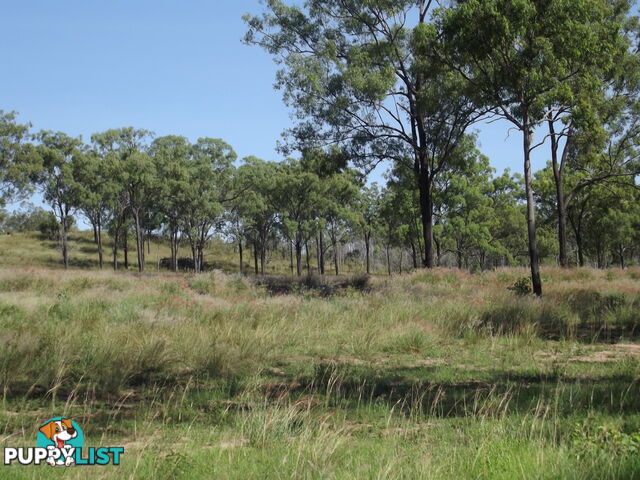 Lot 156 Grills Rd Dallarnil QLD 4621