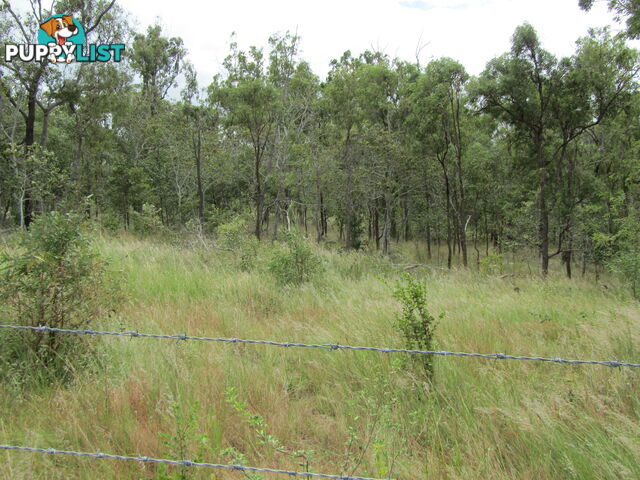 Lot 156 Grills Rd Dallarnil QLD 4621