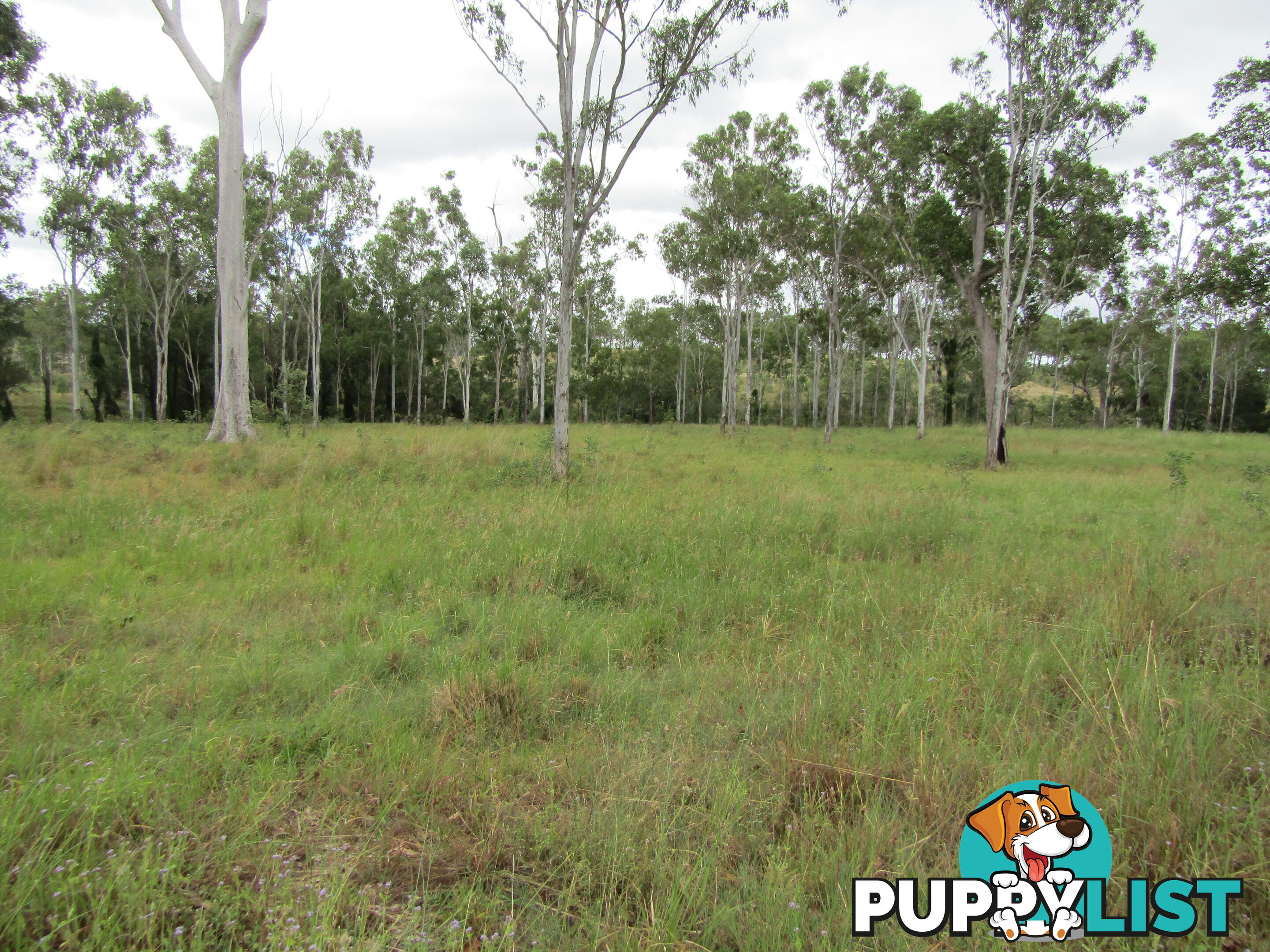 Lot 156 Grills Rd Dallarnil QLD 4621