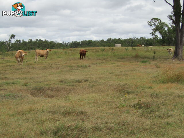 Lot 156 Grills Rd Dallarnil QLD 4621