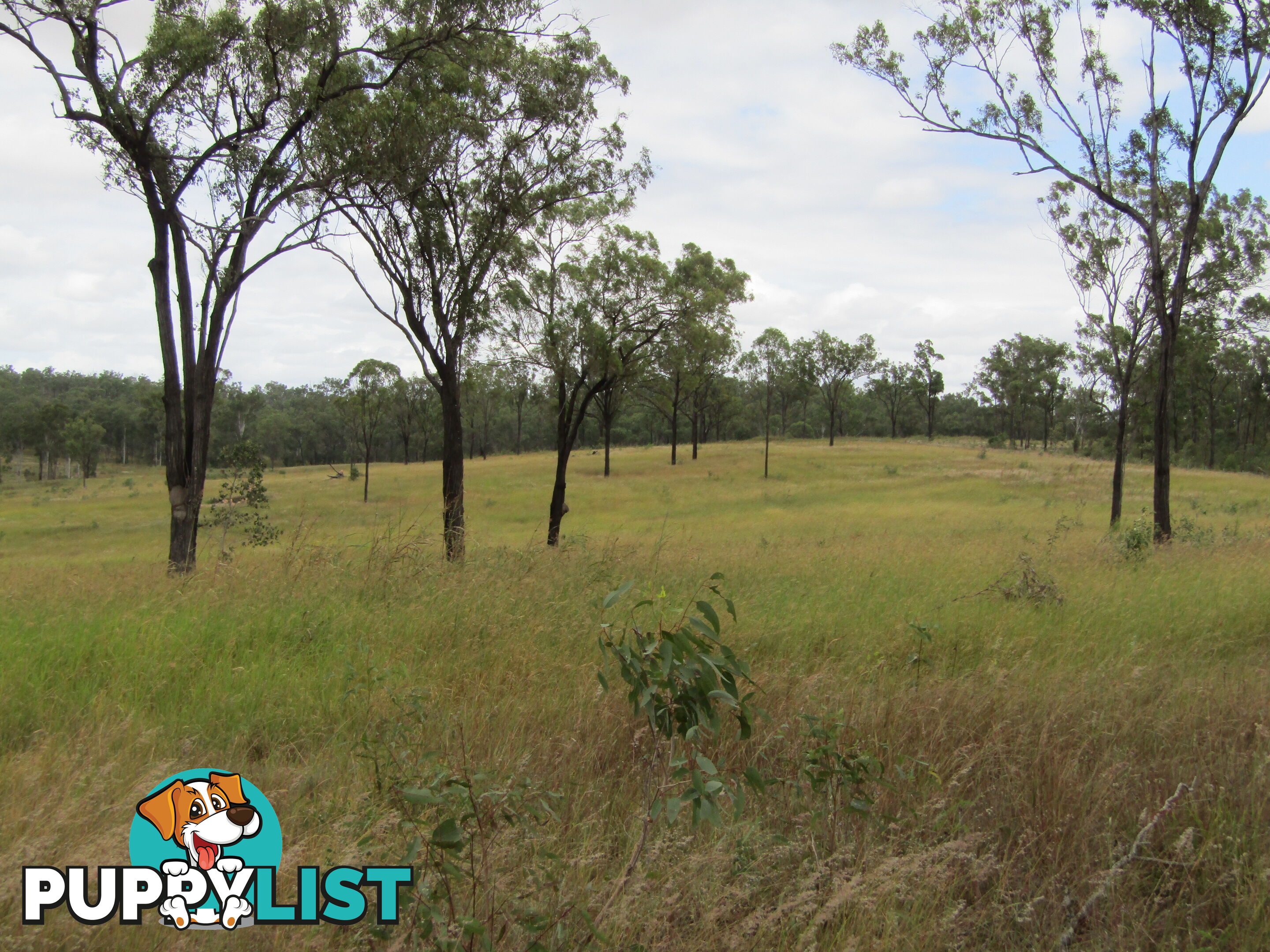 Lot 156 Grills Rd Dallarnil QLD 4621