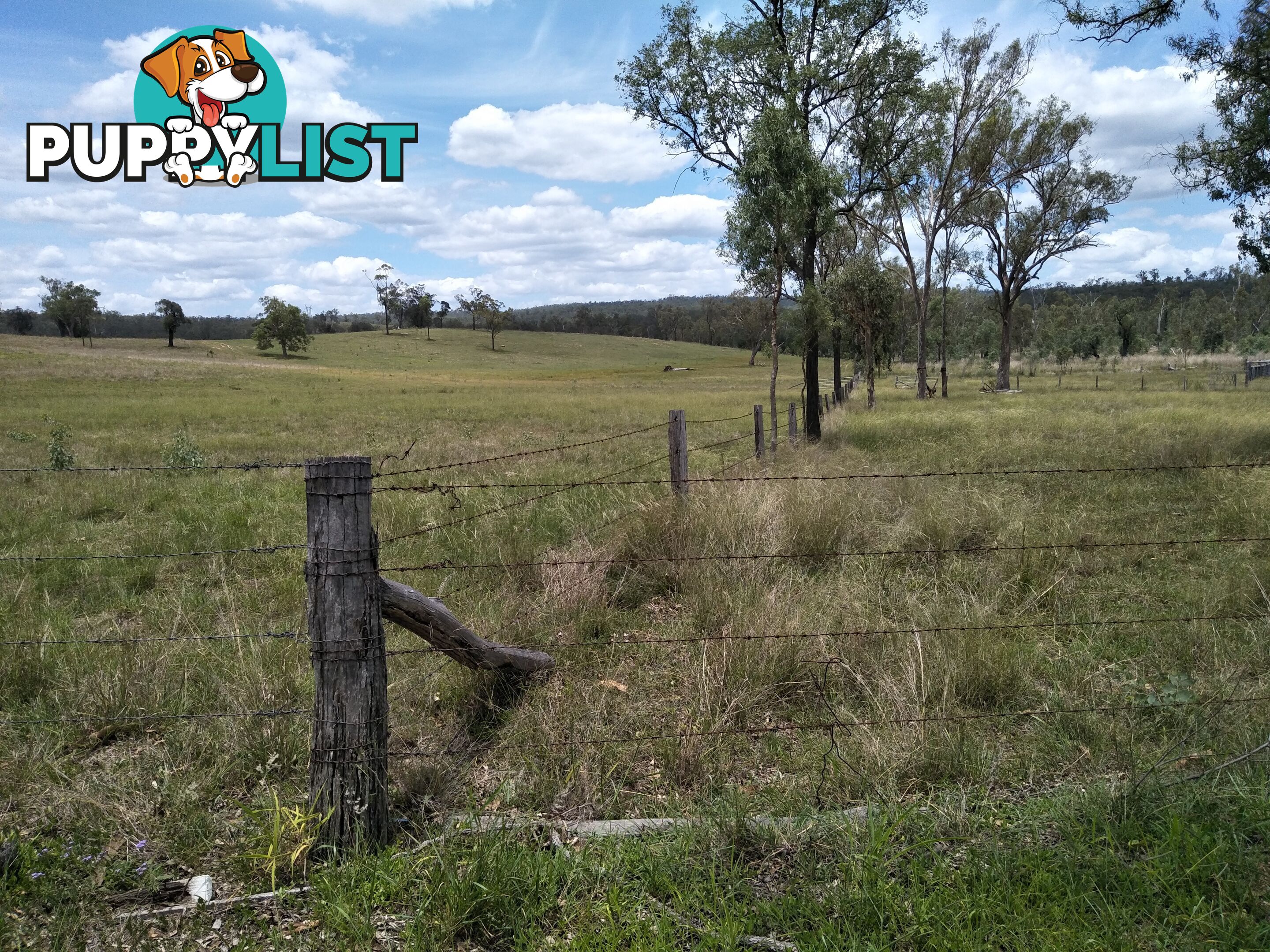 Lot 156 Grills Rd Dallarnil QLD 4621