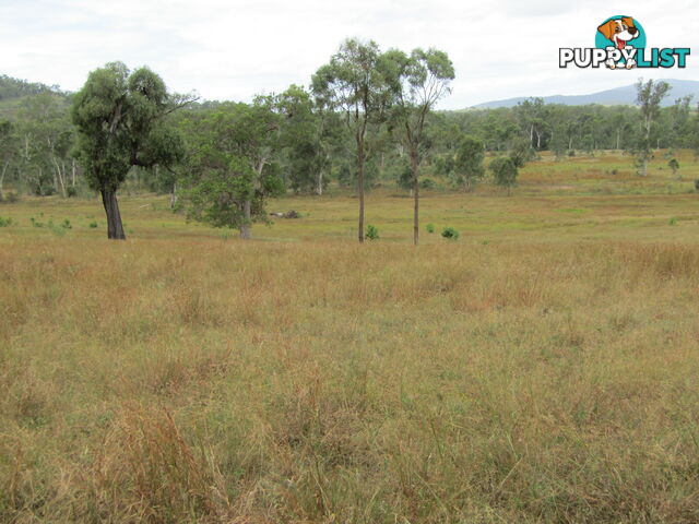 Lot 156 Grills Rd Dallarnil QLD 4621