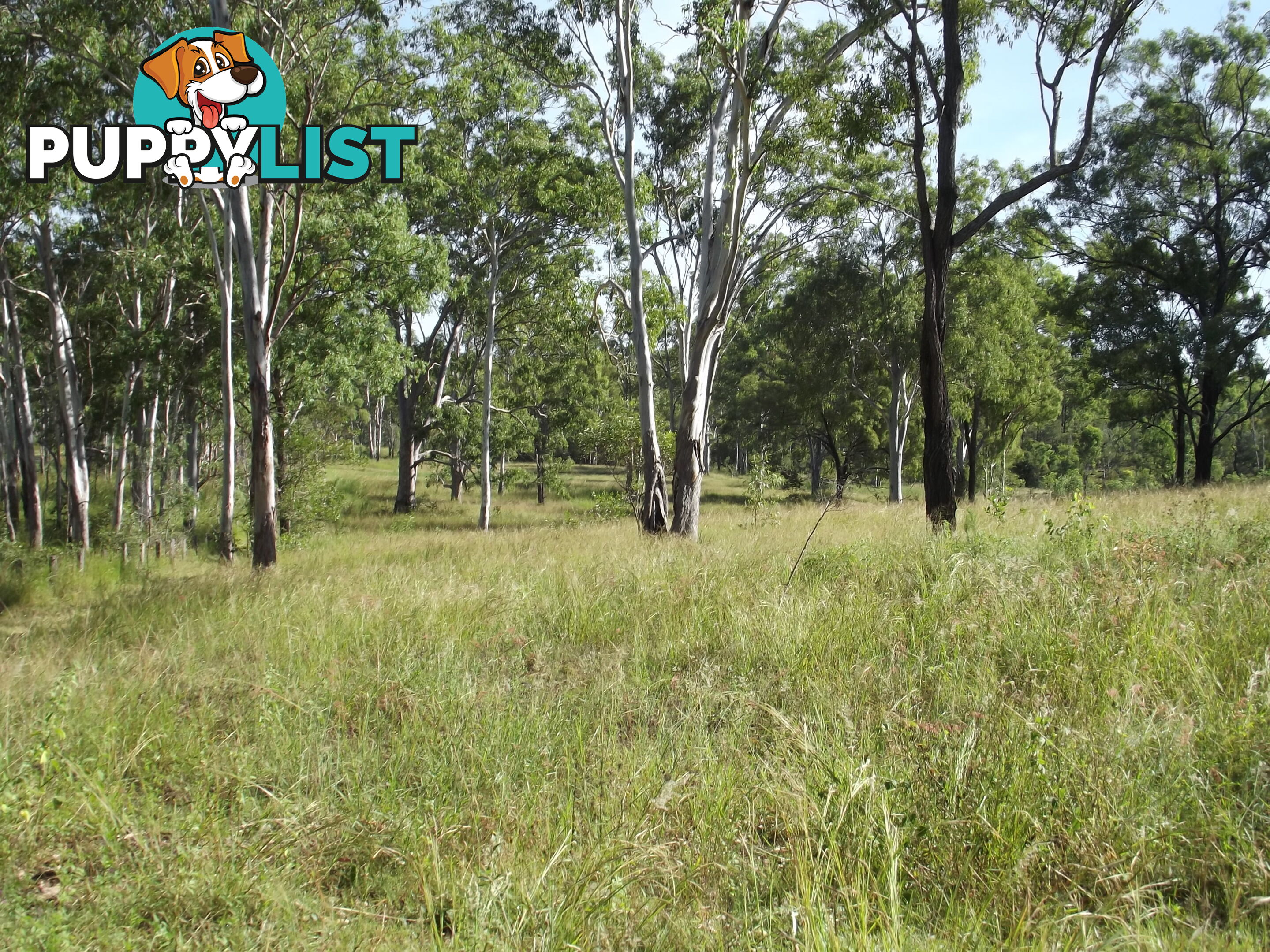 Lot 156 Grills Rd Dallarnil QLD 4621