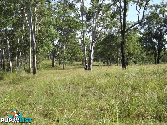 Lot 156 Grills Rd Dallarnil QLD 4621