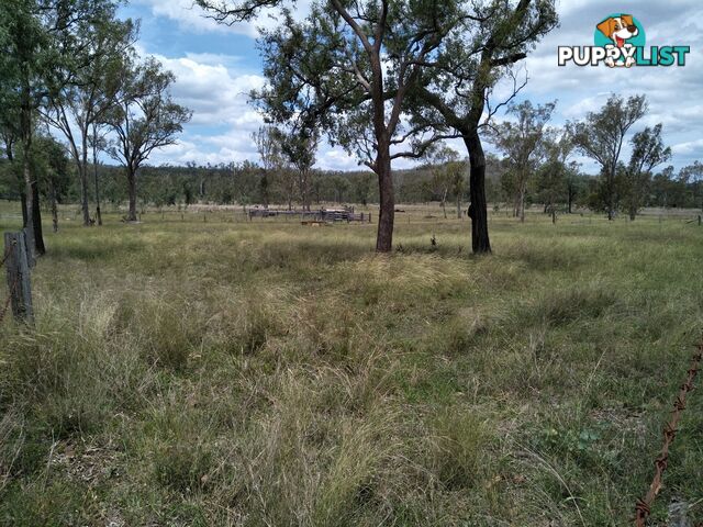 Lot 156 Grills Rd Dallarnil QLD 4621