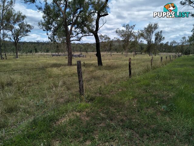 Lot 156 Grills Rd Dallarnil QLD 4621