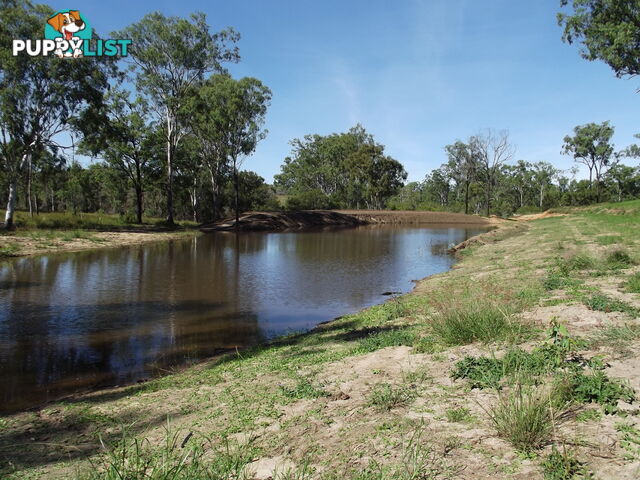 Lot 156 Grills Rd Dallarnil QLD 4621