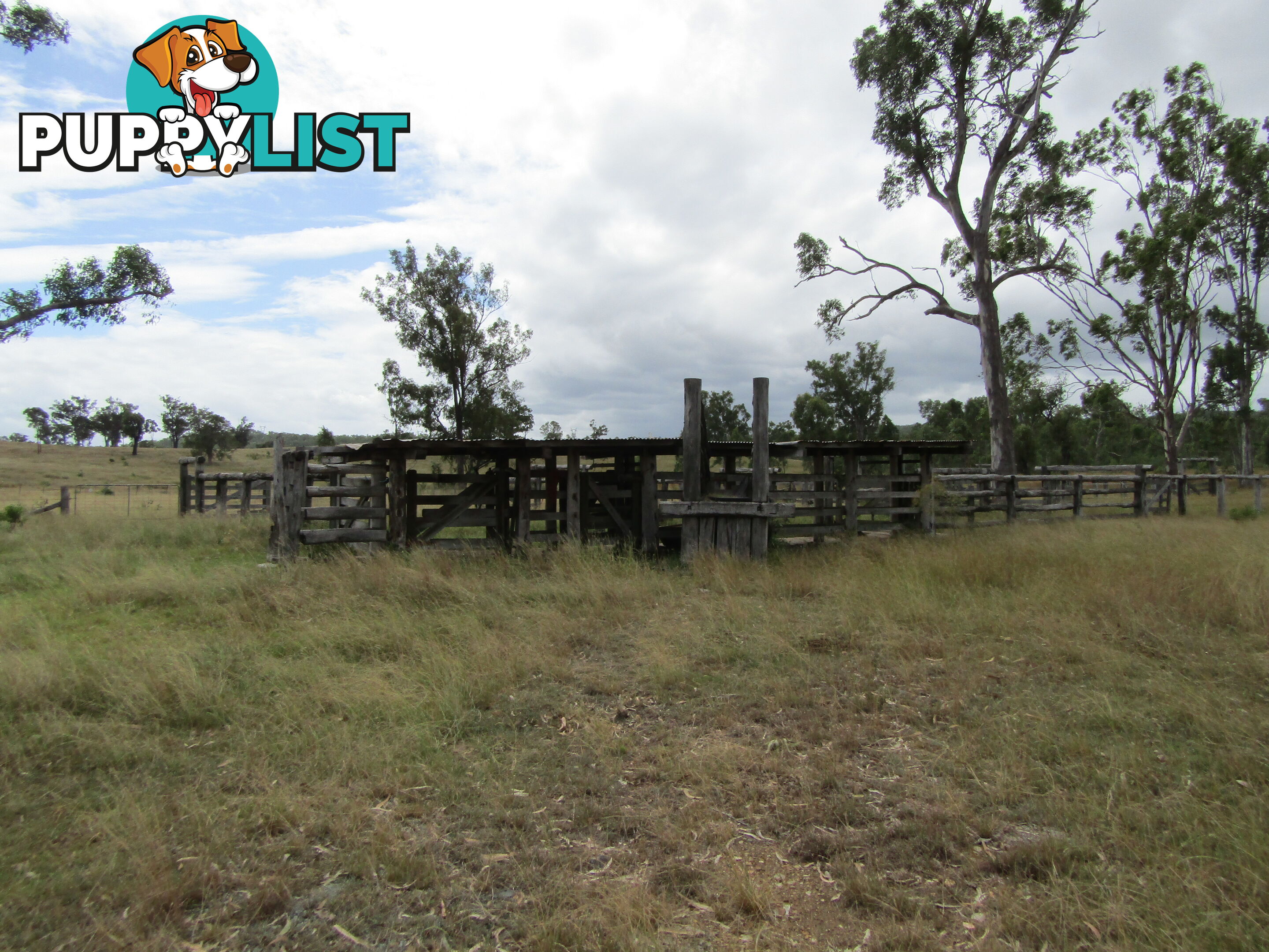 Lot 156 Grills Rd Dallarnil QLD 4621