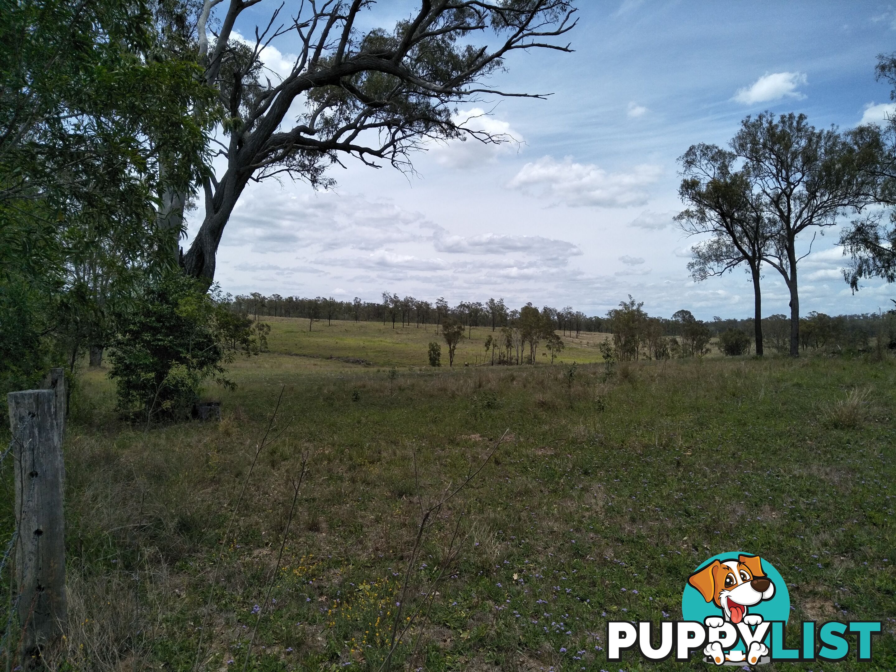 Lot 156 Grills Rd Dallarnil QLD 4621