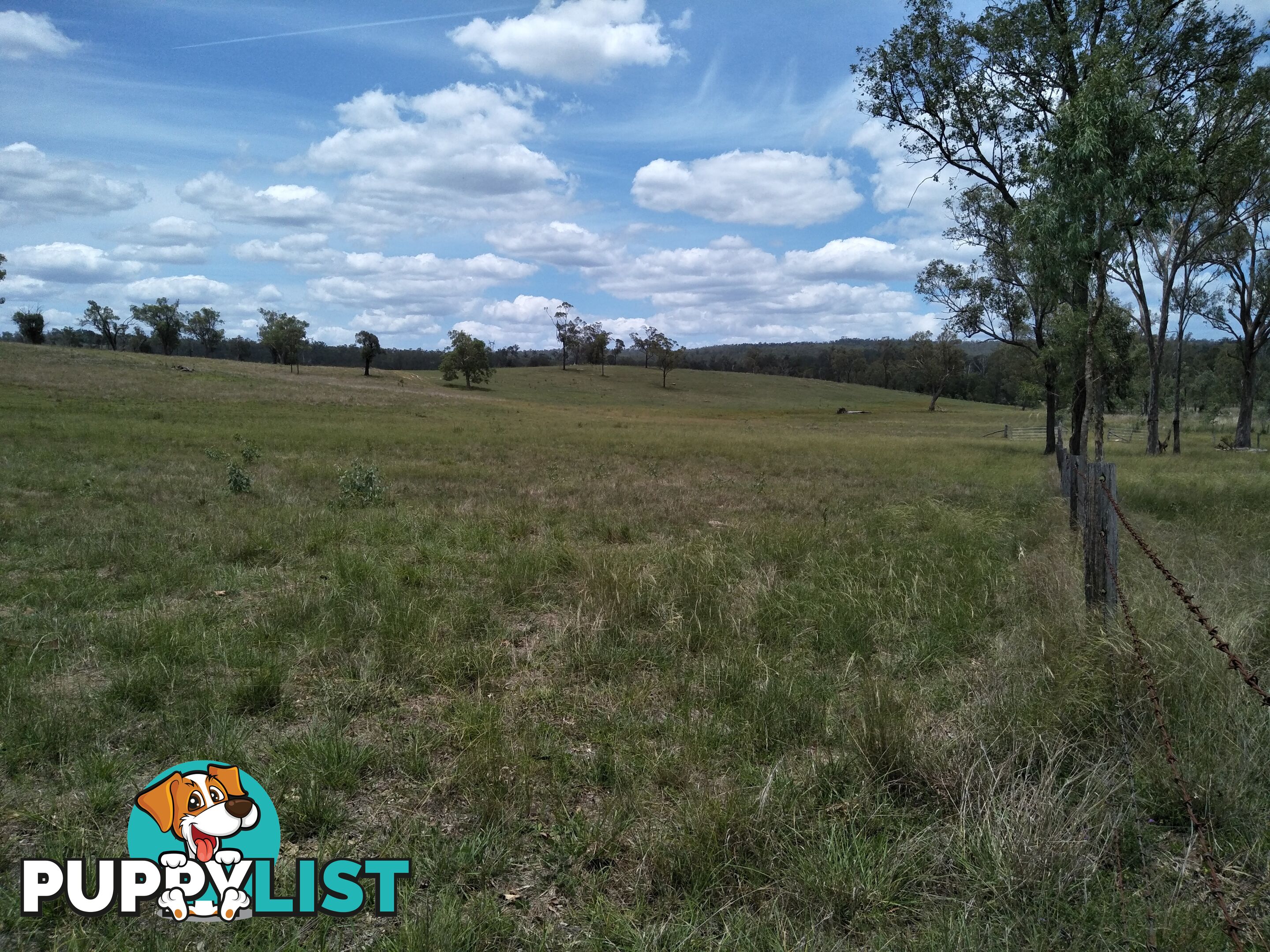 Lot 156 Grills Rd Dallarnil QLD 4621