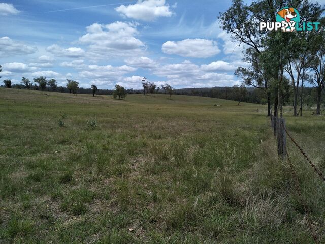 Lot 156 Grills Rd Dallarnil QLD 4621