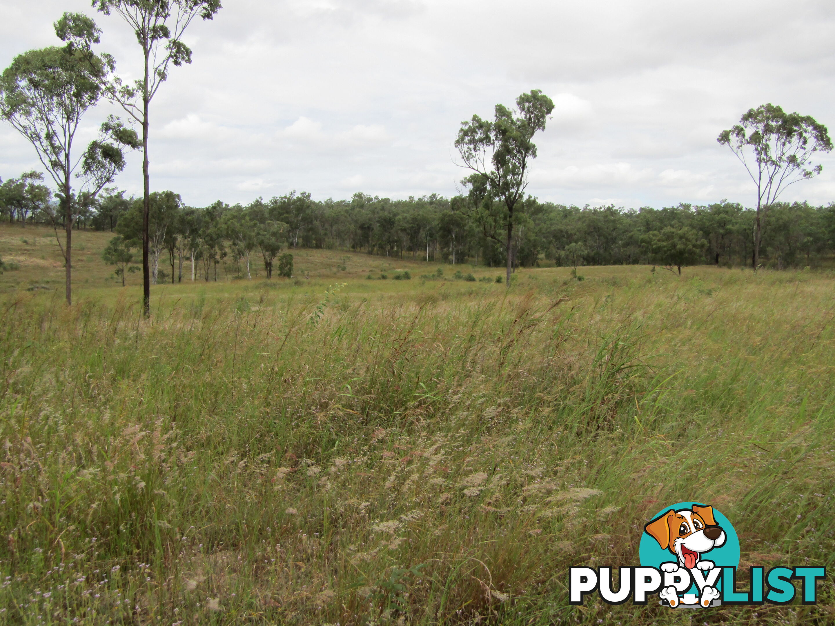 Lot 156 Grills Rd Dallarnil QLD 4621