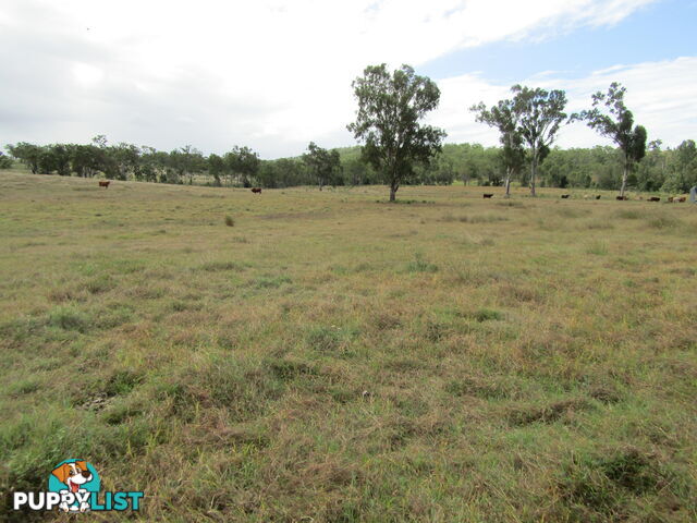 Lot 156 Grills Rd Dallarnil QLD 4621