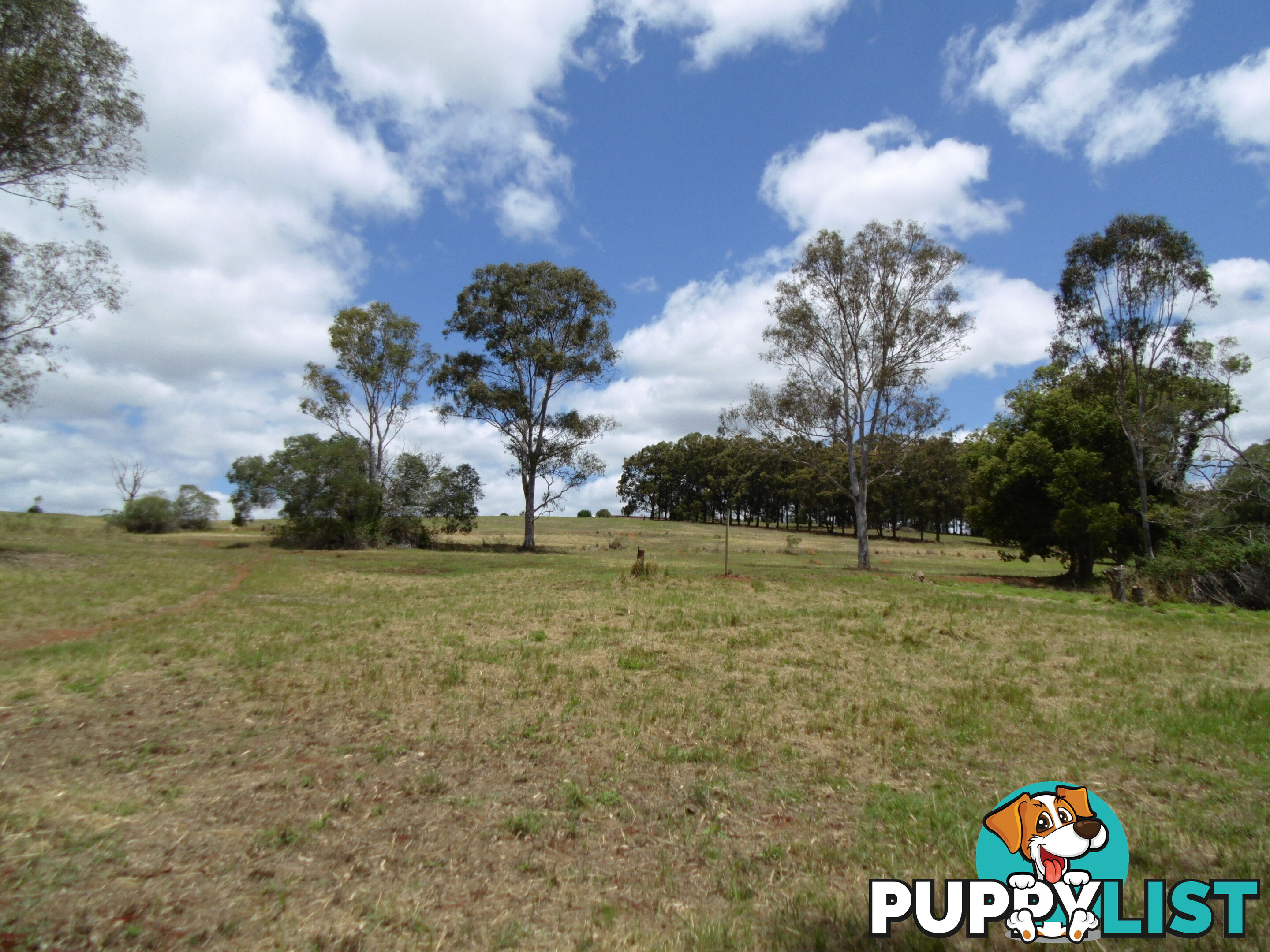 146 Old Creek Rd Childers QLD 4660