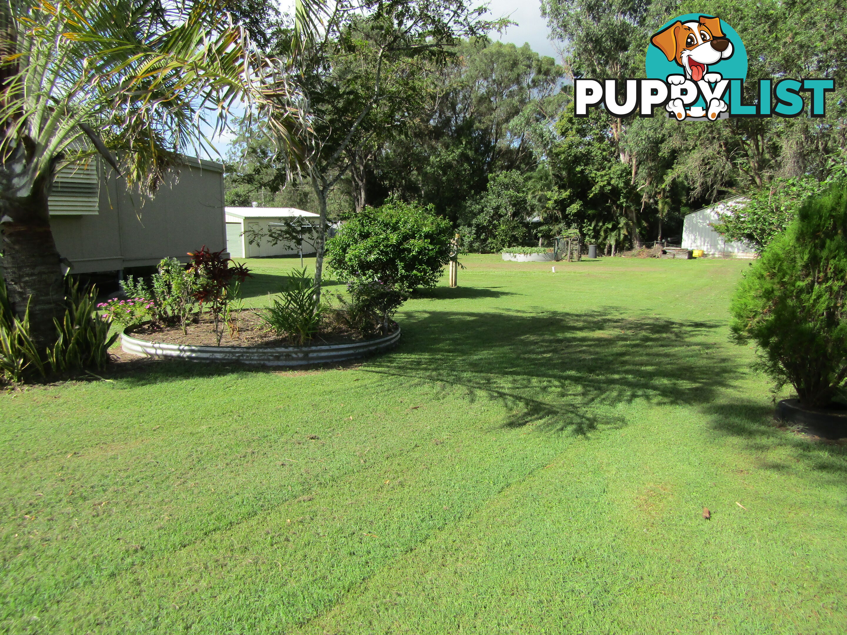 22 Leonard Court Cordalba QLD 4660