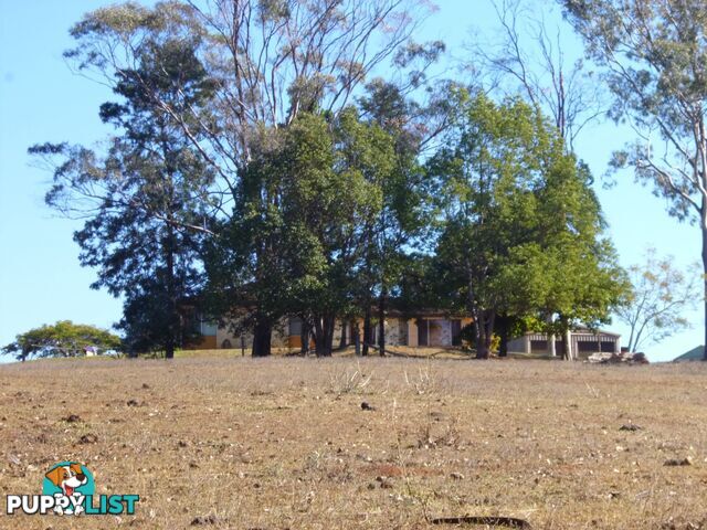 16 Taylor Street Childers QLD 4660