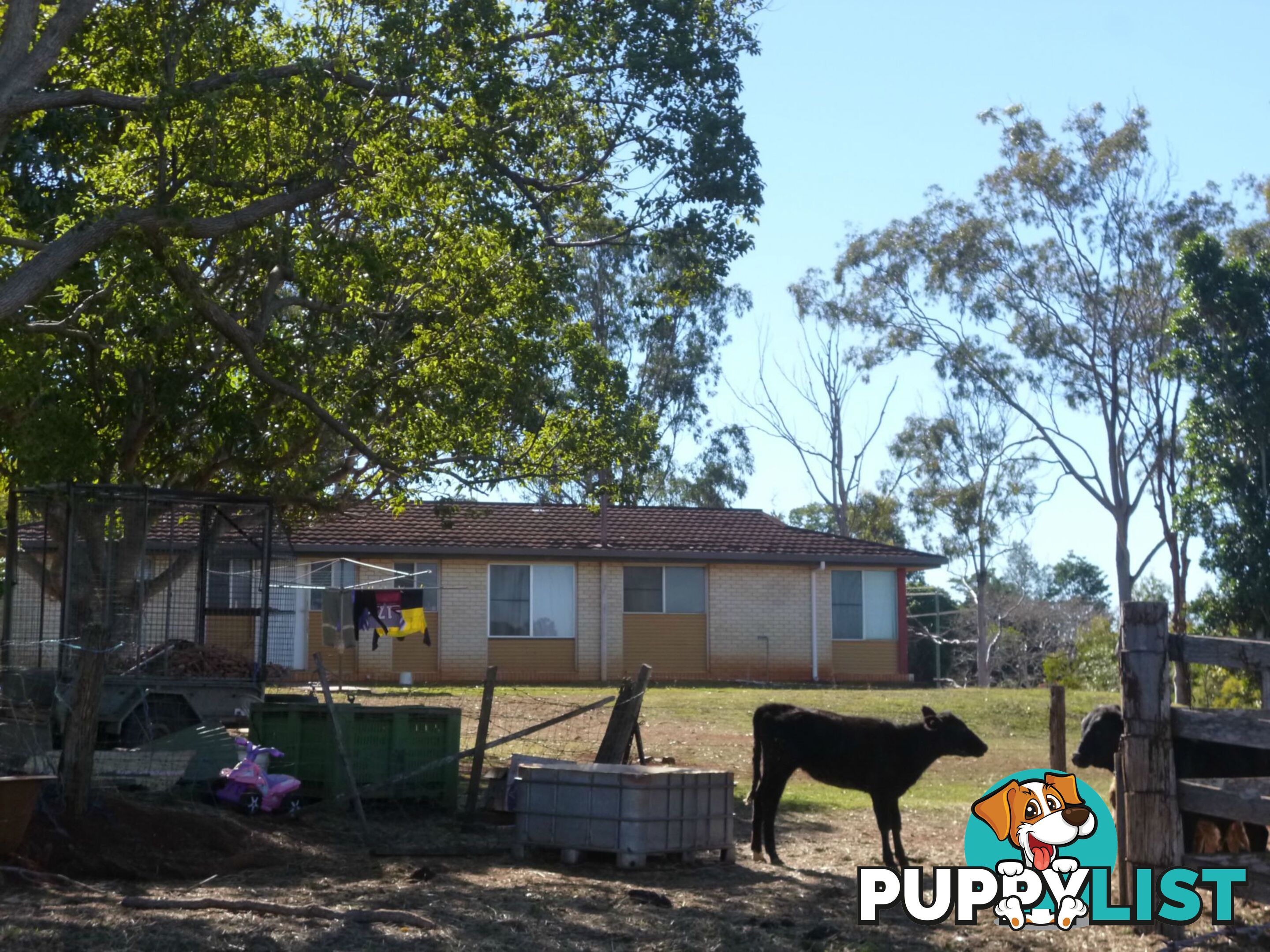 16 Taylor Street Childers QLD 4660