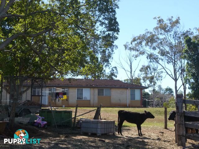 16 Taylor Street Childers QLD 4660