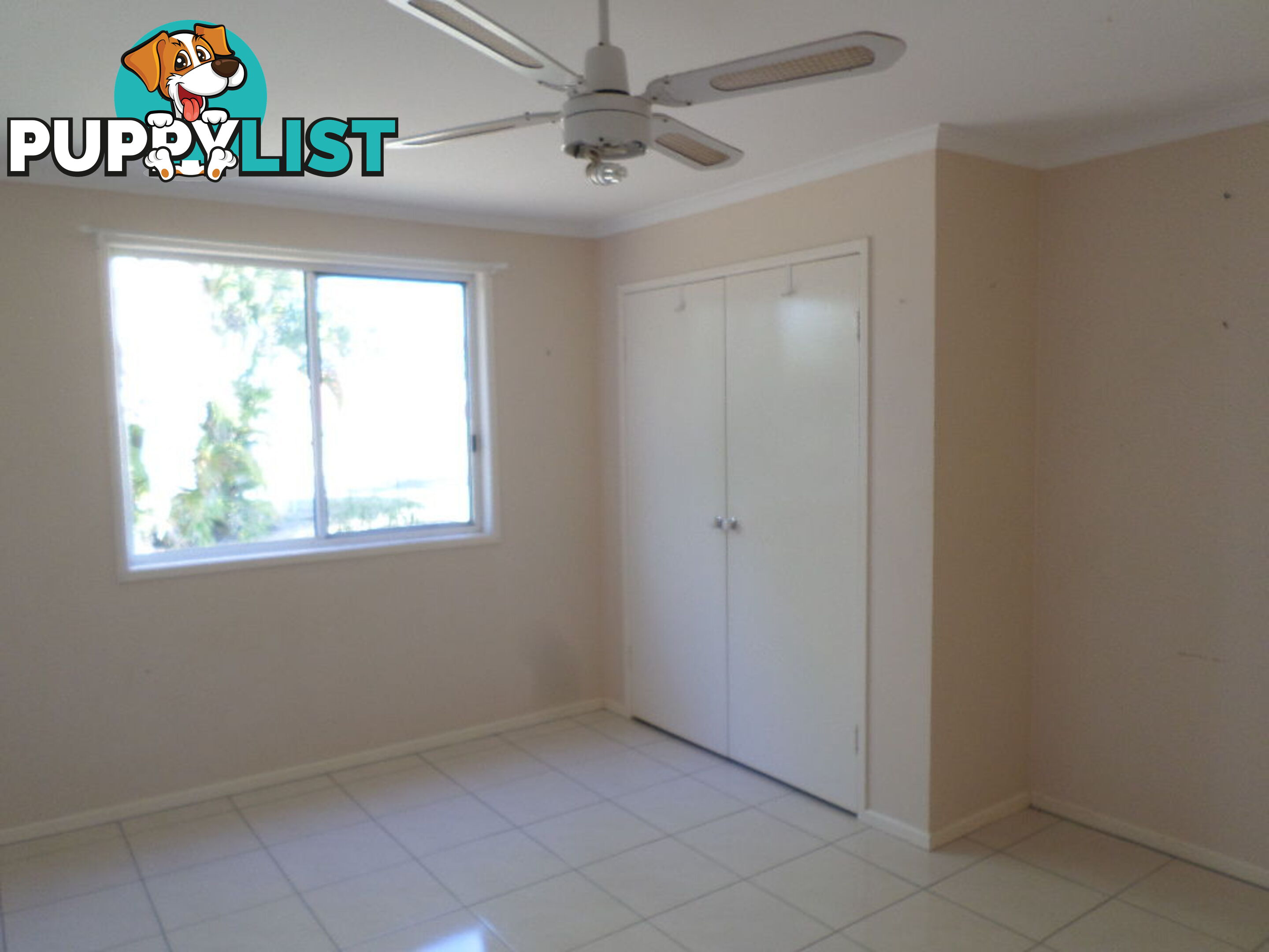 24 Travis Street Buxton QLD 4660