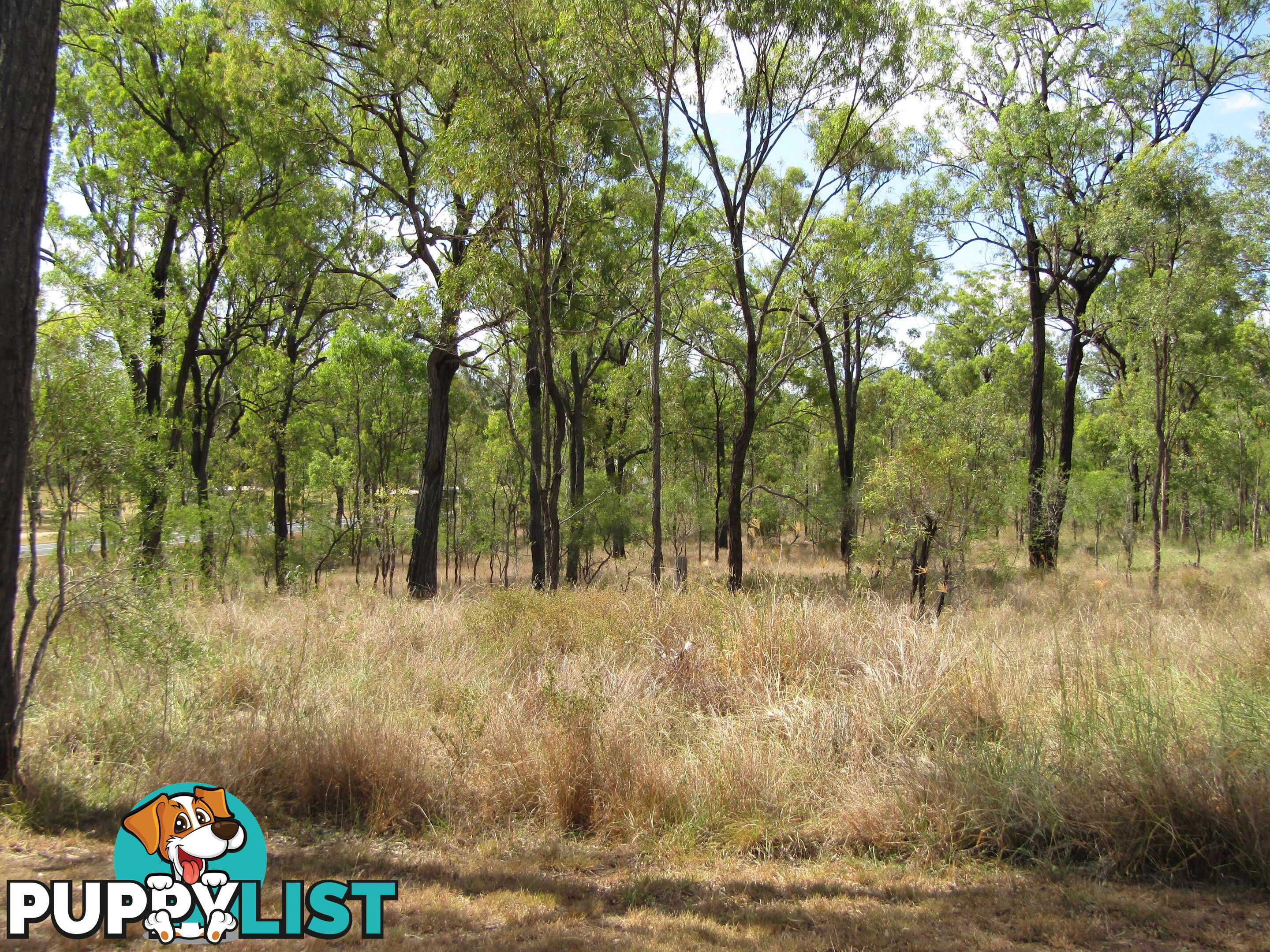 508 Hann St Dallarnil QLD 4621