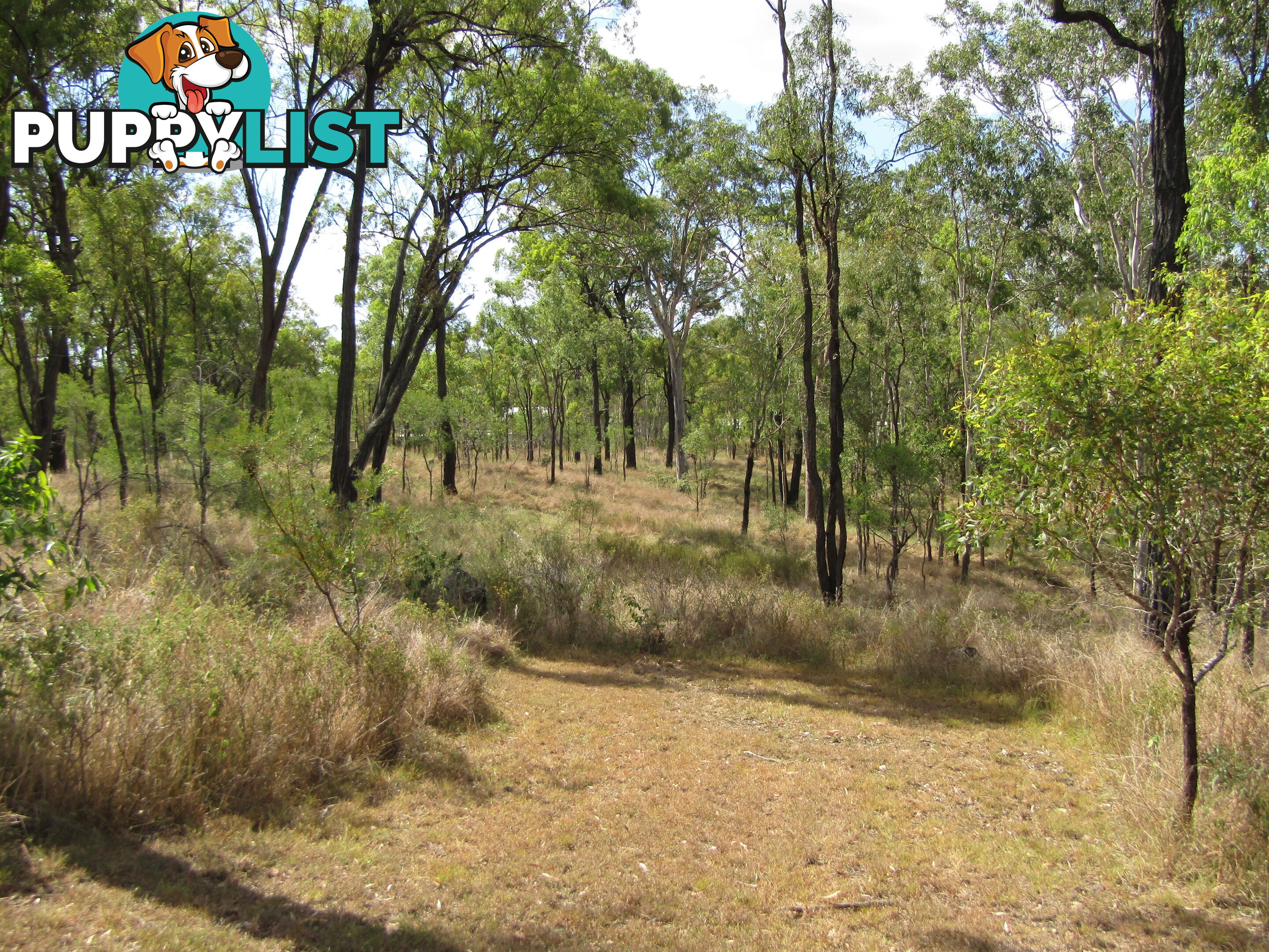 508 Hann St Dallarnil QLD 4621