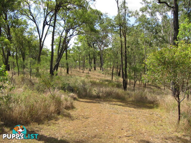 508 Hann St Dallarnil QLD 4621
