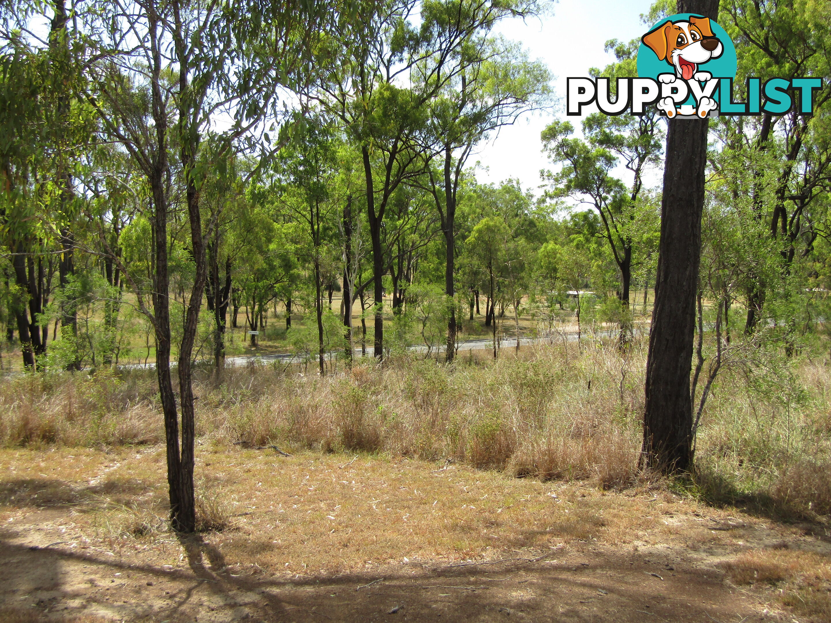 508 Hann St Dallarnil QLD 4621