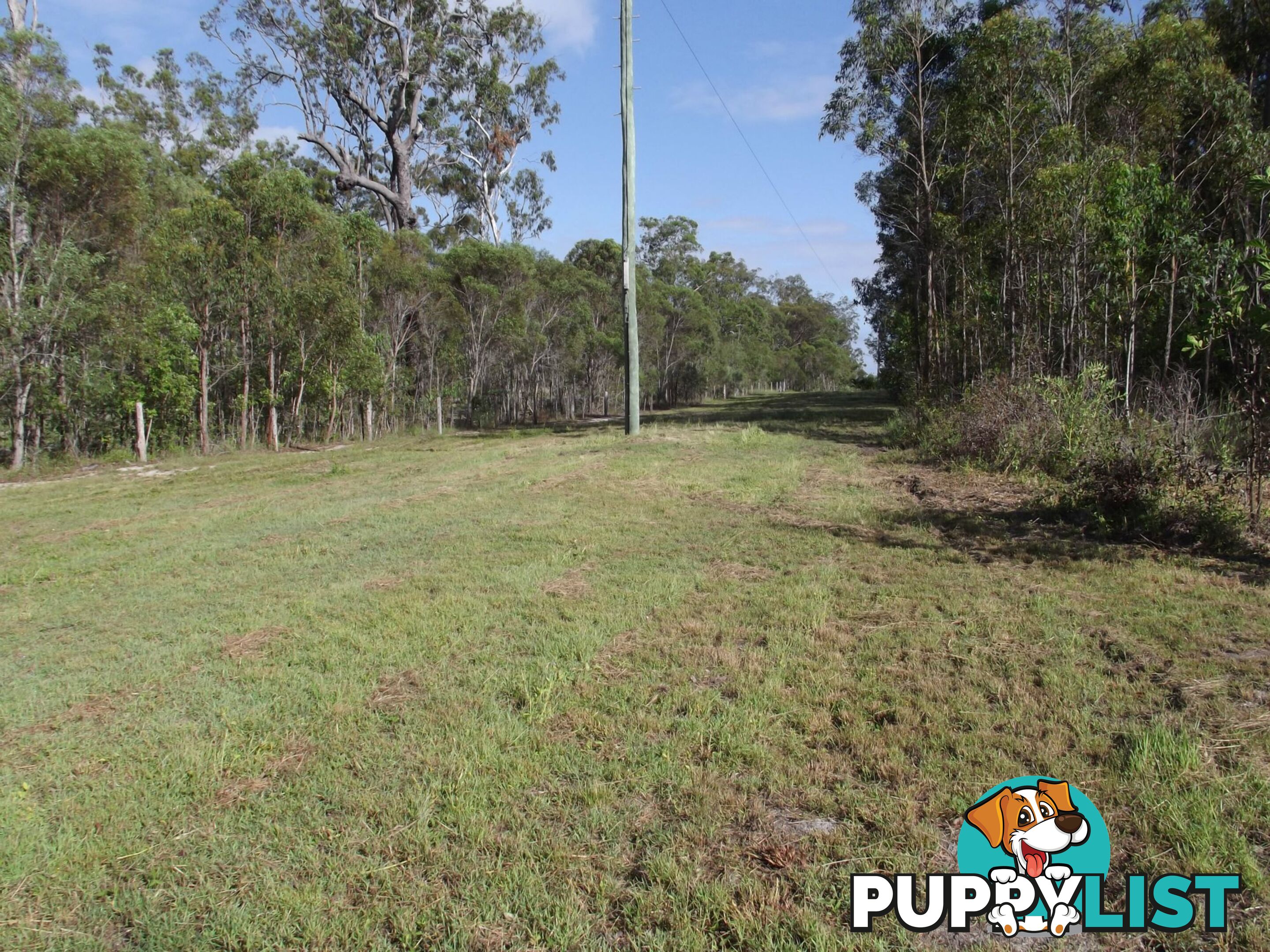 719 Berries Road Kullogum QLD 4660