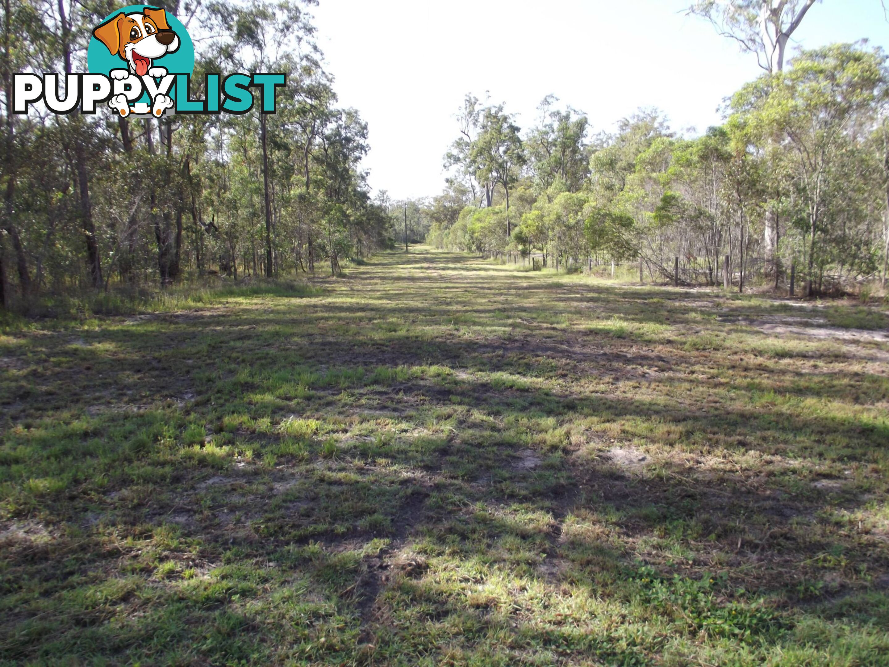 719 Berries Road Kullogum QLD 4660