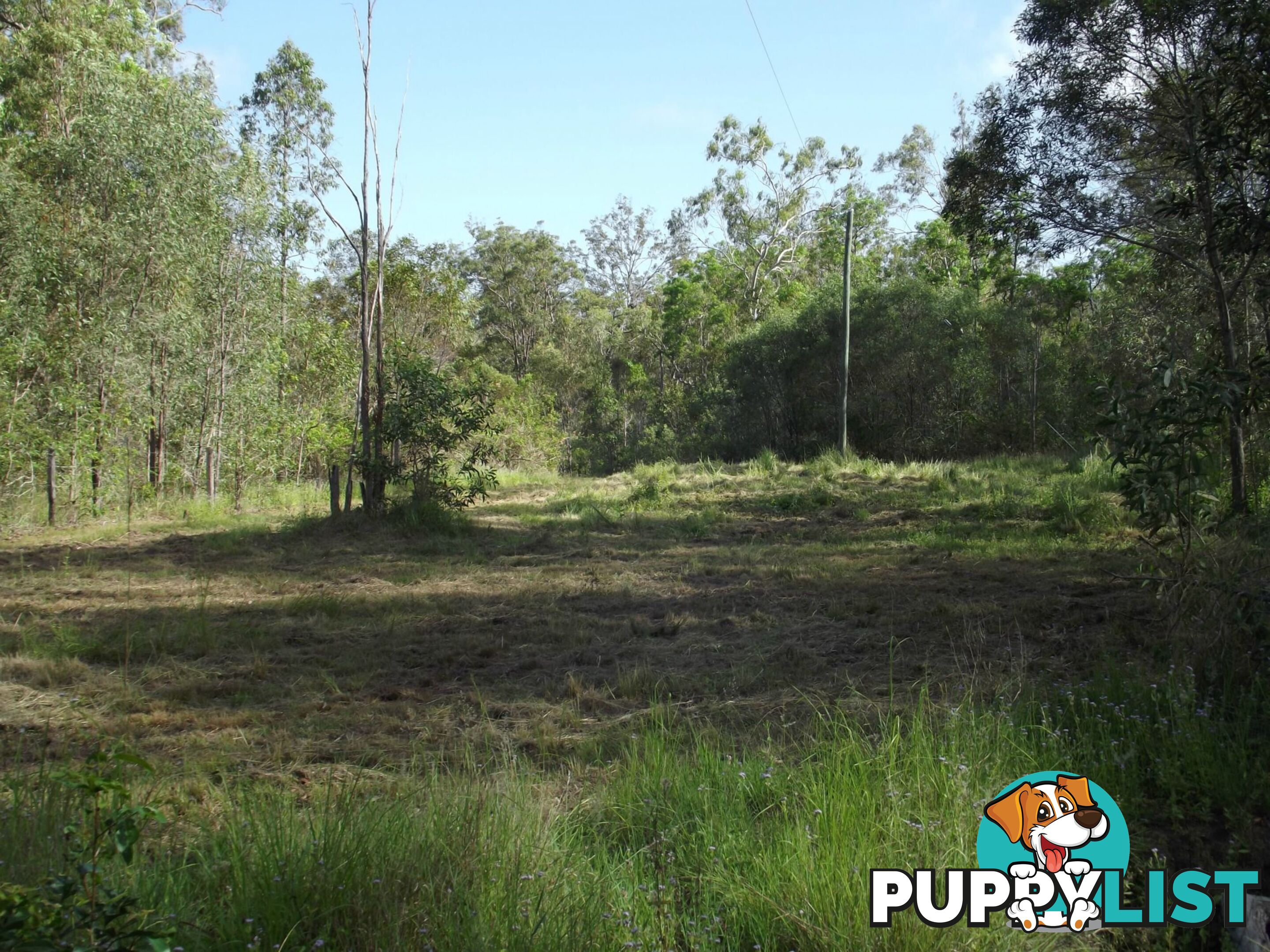 719 Berries Road Kullogum QLD 4660