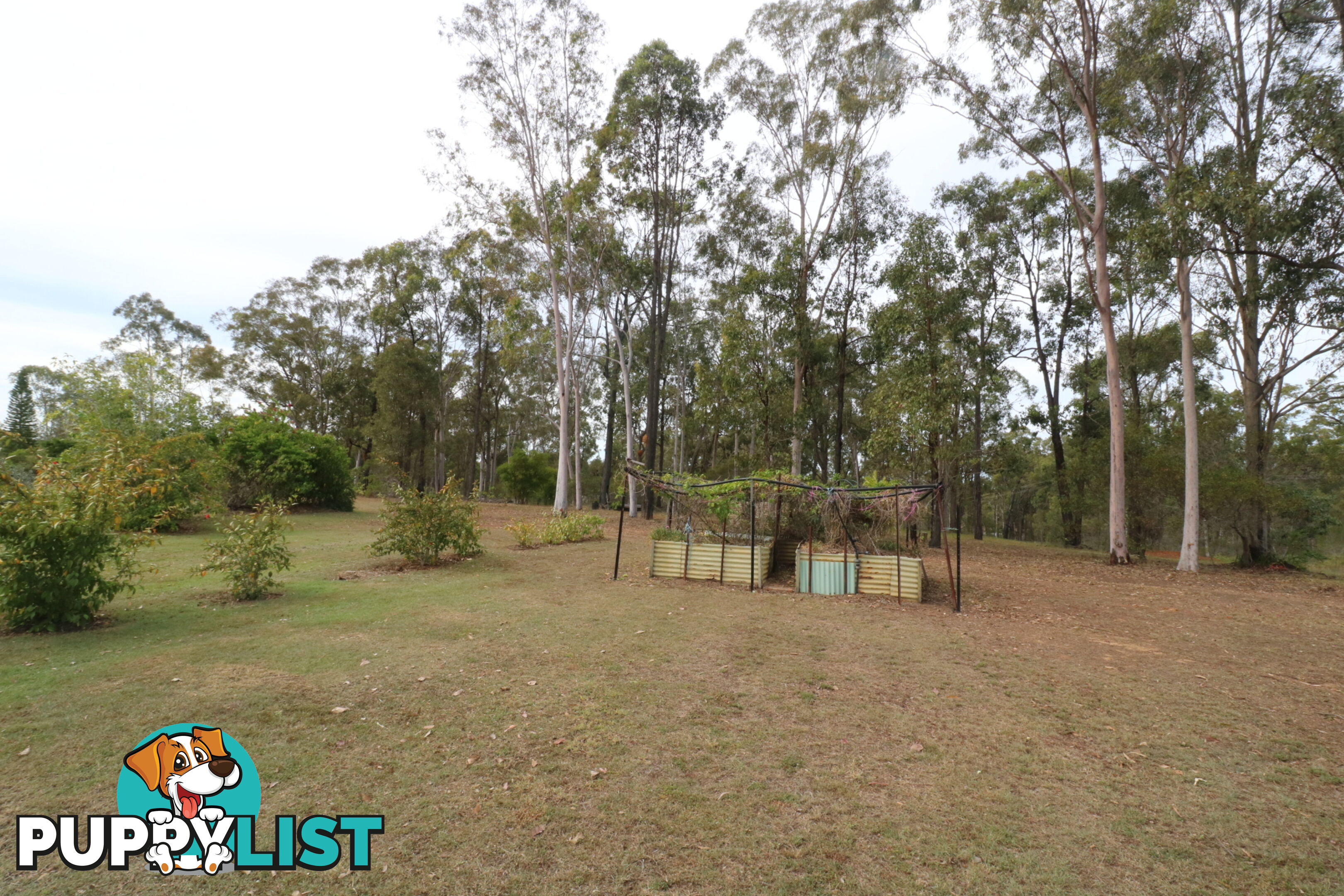 85 Gregory Dr Redridge QLD 4660