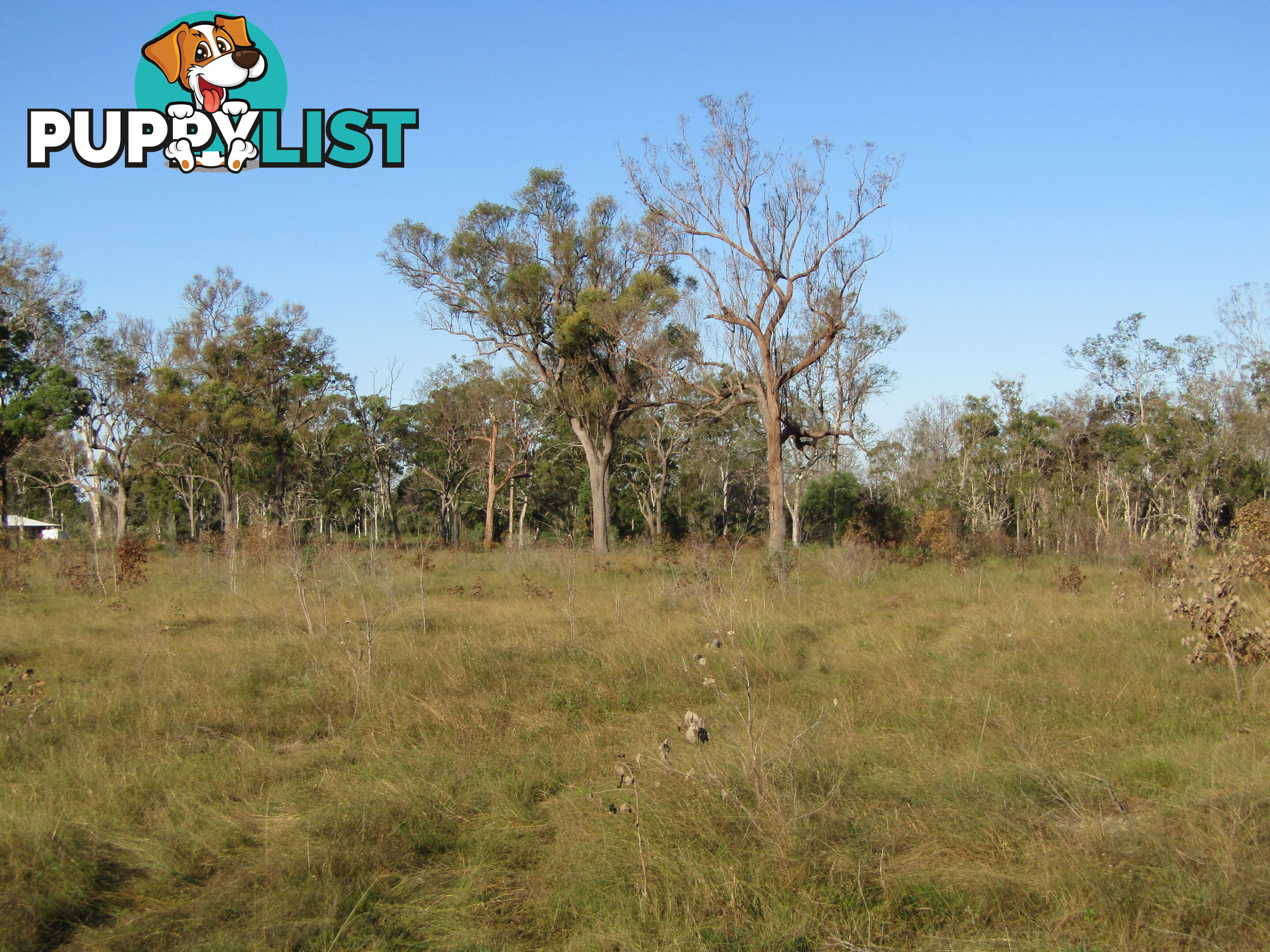 Lot 54 Isis St Buxton QLD 4660