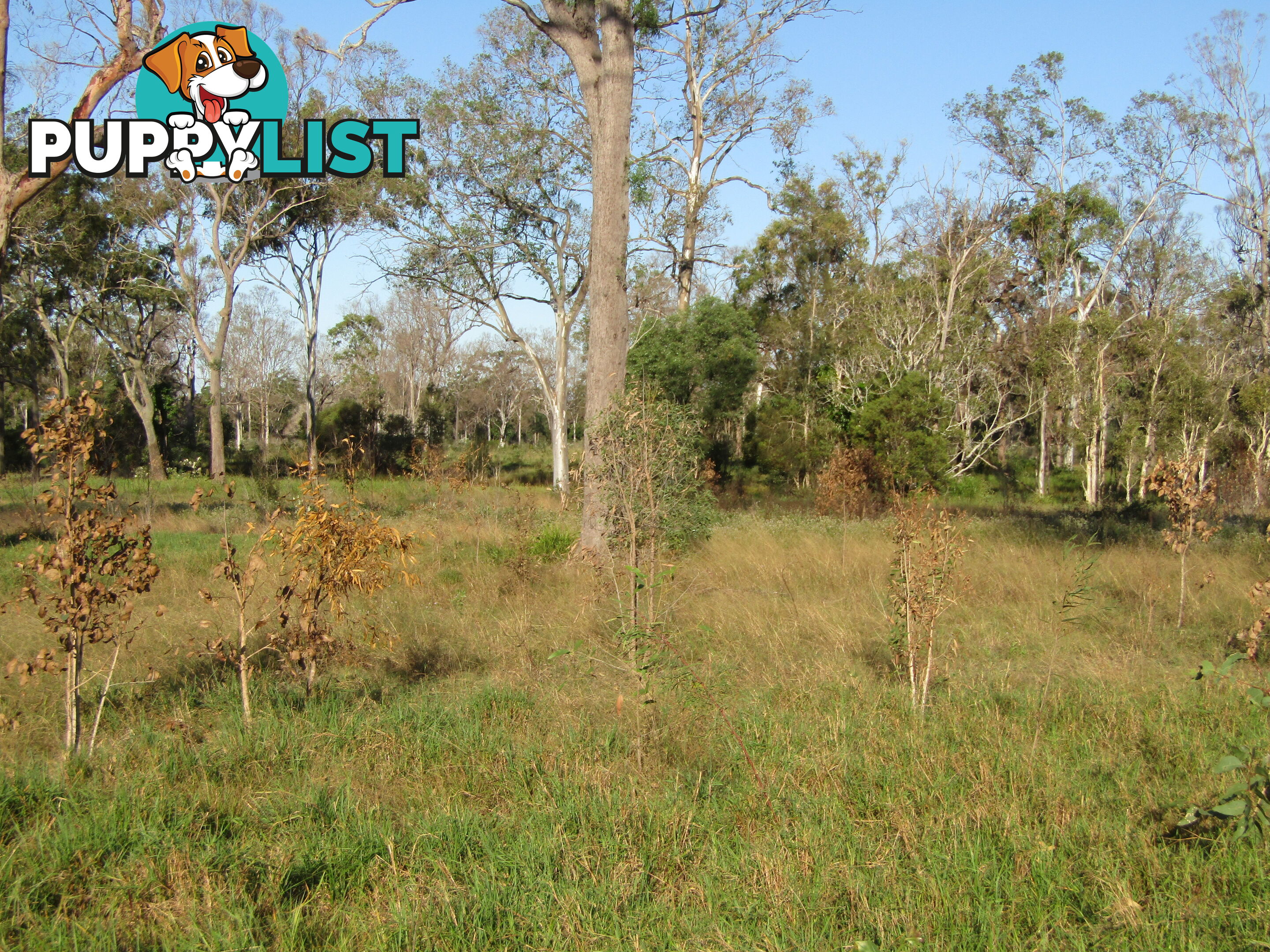 Lot 54 Isis St Buxton QLD 4660