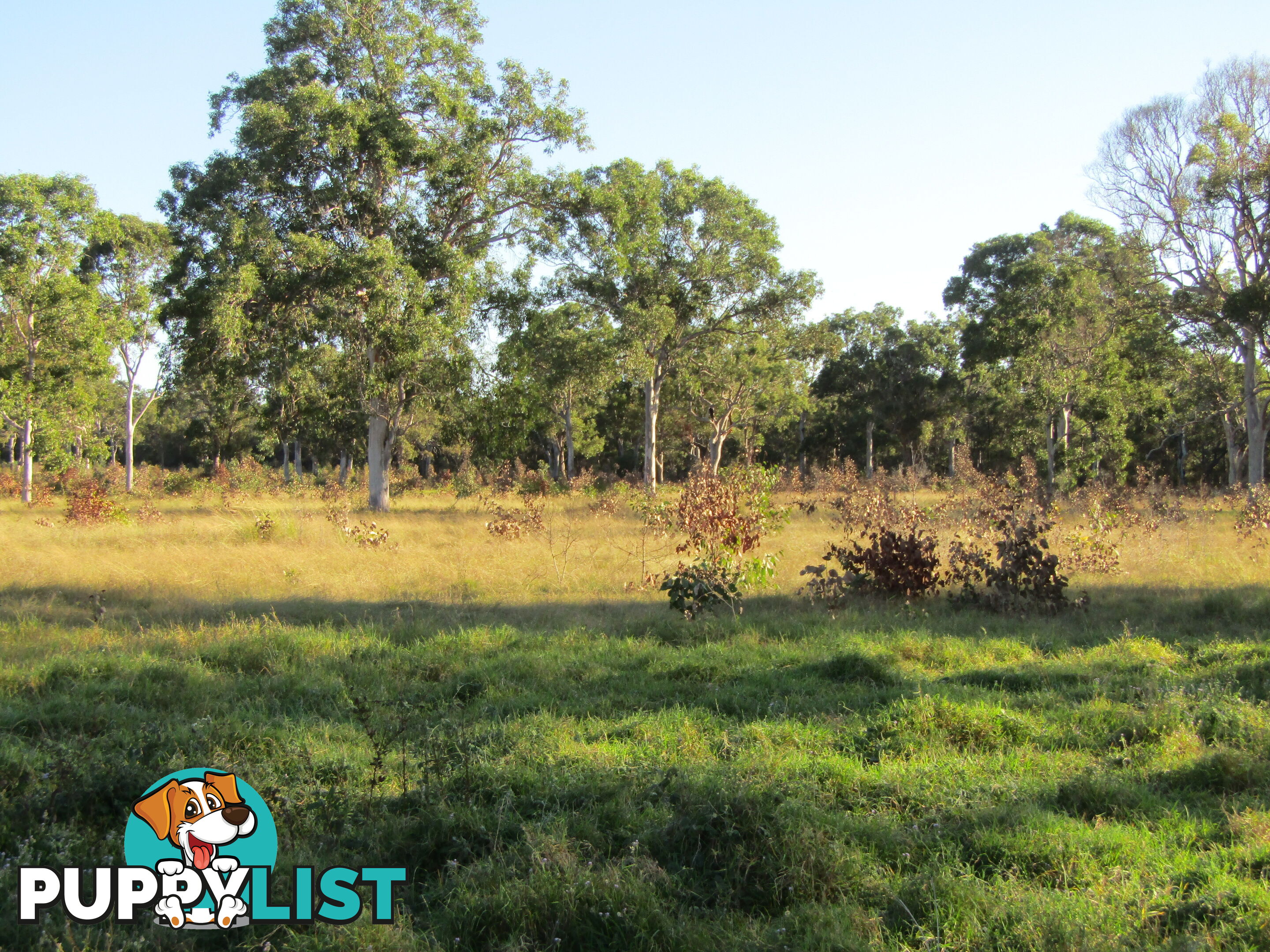 Lot 54 Isis St Buxton QLD 4660