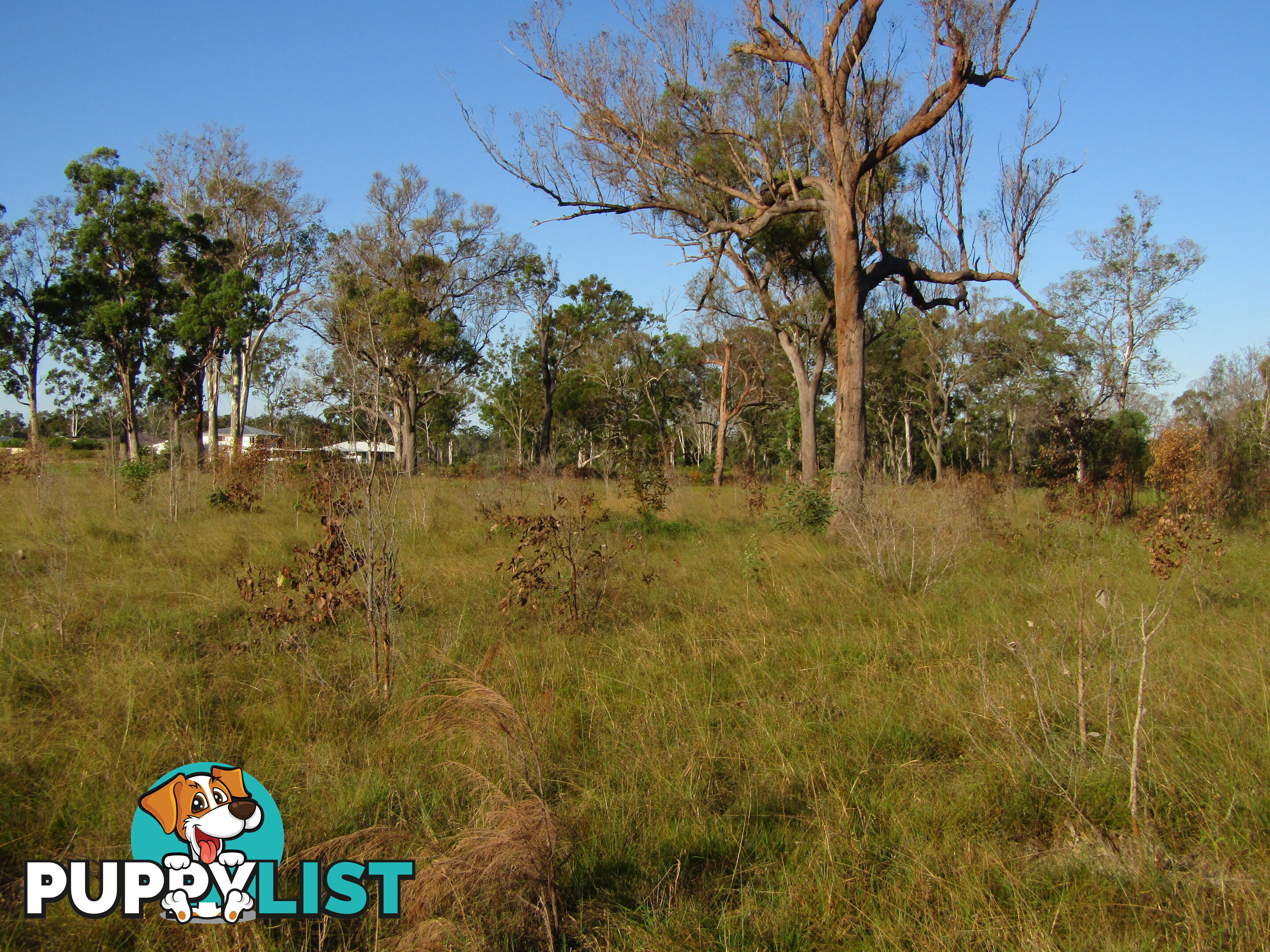 Lot 54 Isis St Buxton QLD 4660