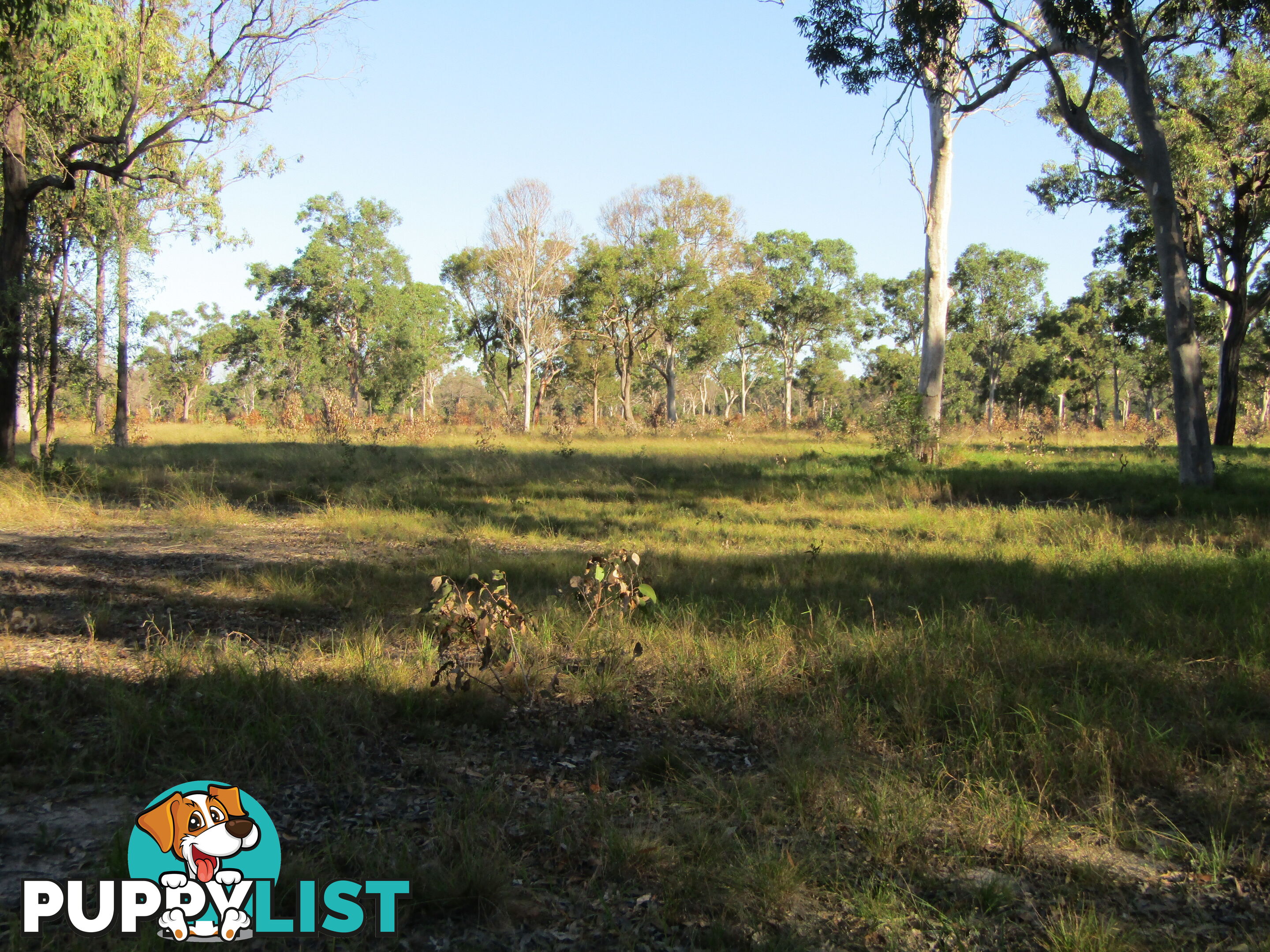 Lot 54 Isis St Buxton QLD 4660