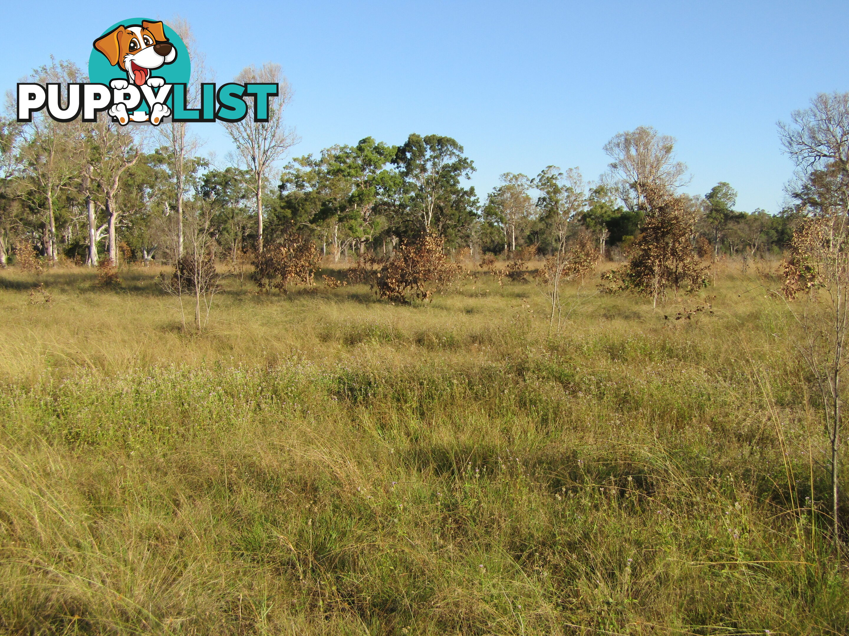 Lot 54 Isis St Buxton QLD 4660