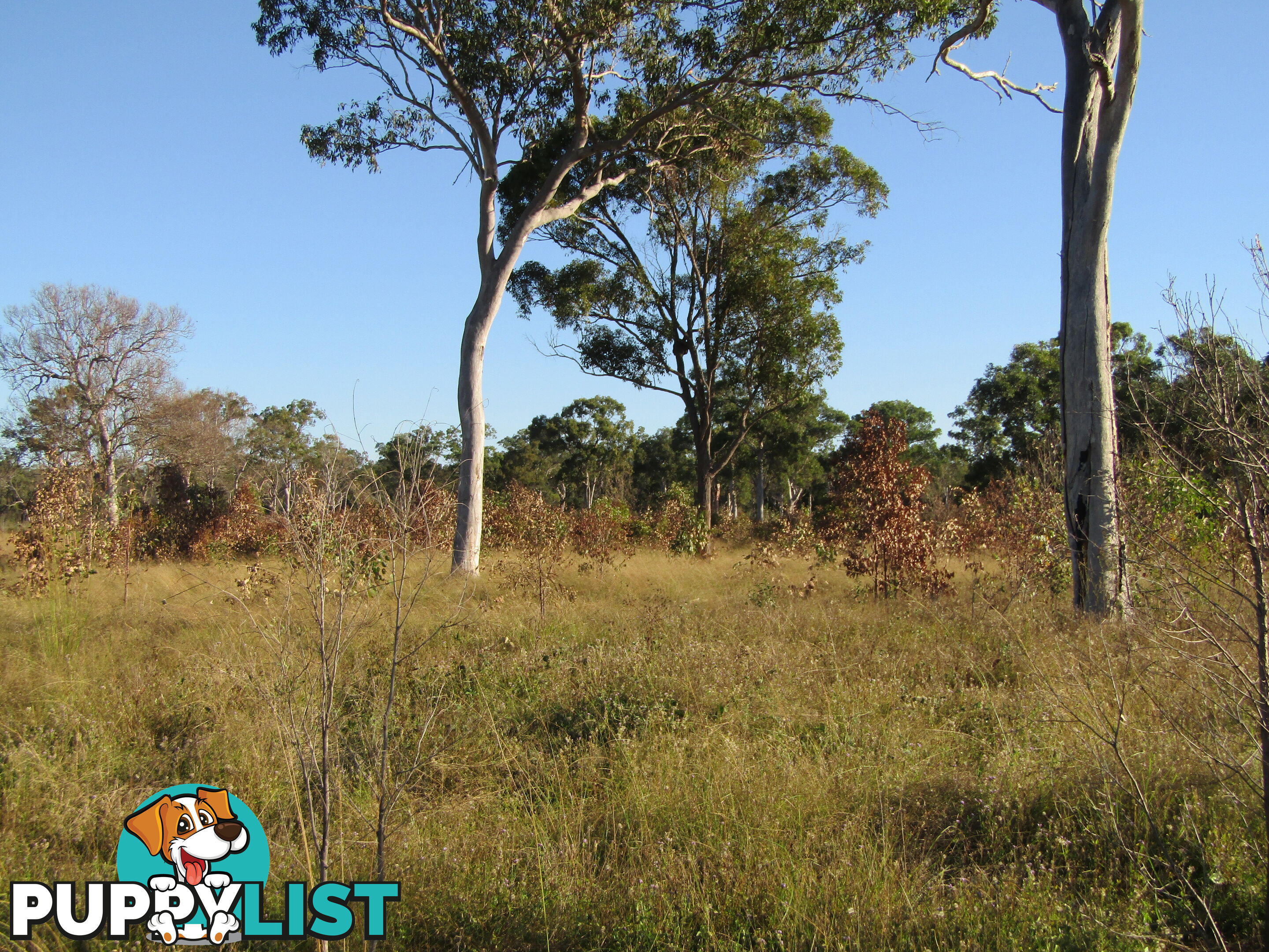 Lot 54 Isis St Buxton QLD 4660