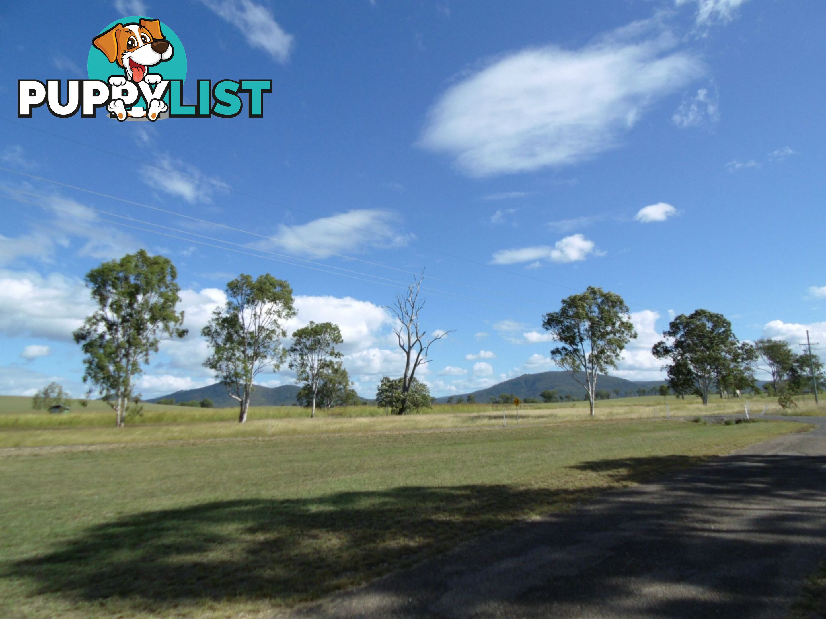 548 Gooroolba-Biggenden Road Degilbo QLD 4621