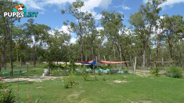 206 Berries Road Eureka QLD 4660