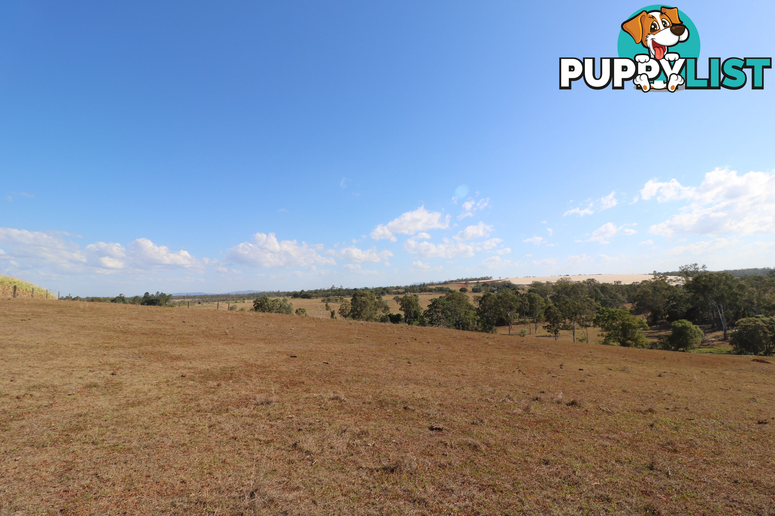 Lot 5 South Isis South Isis QLD 4660