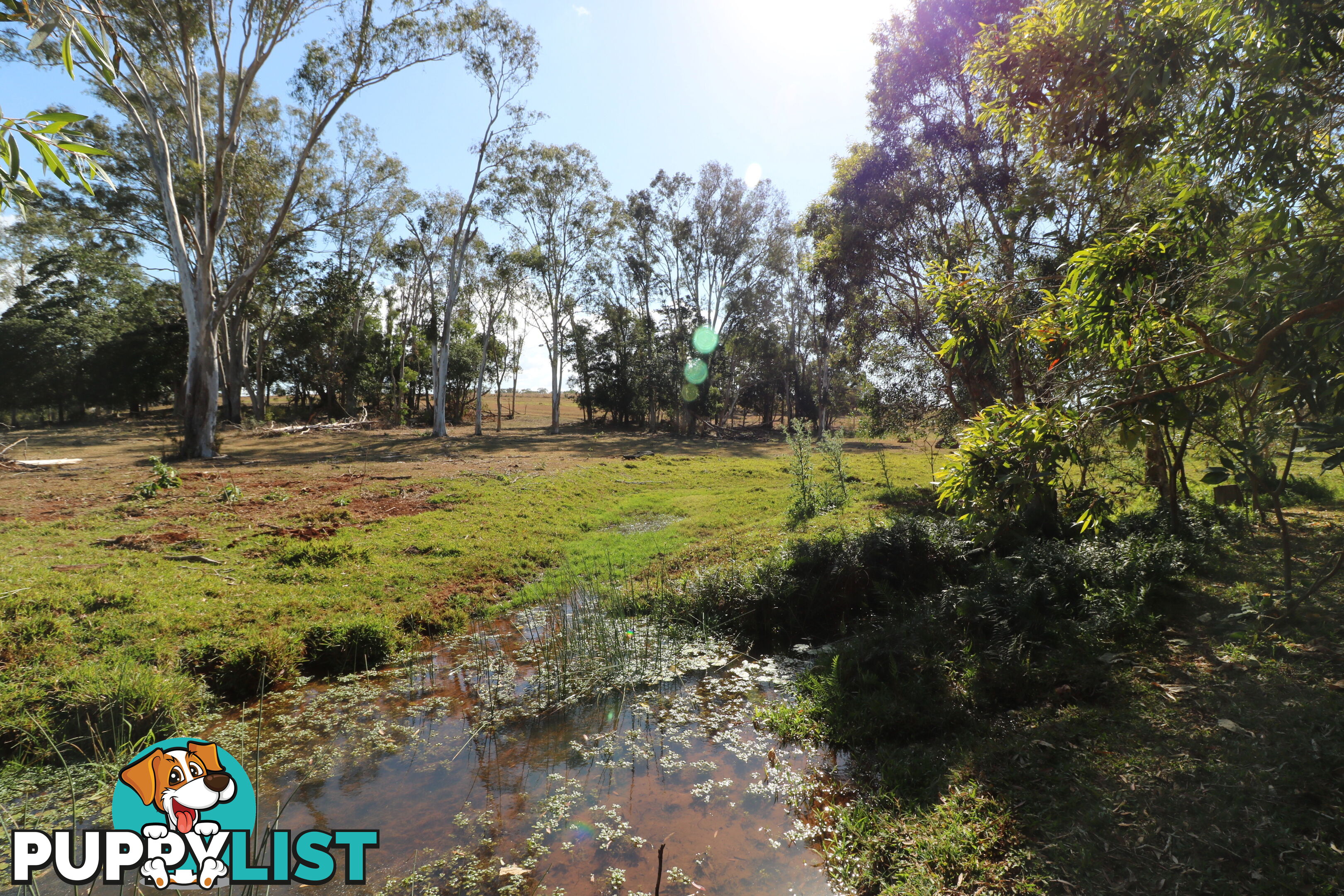 Lot 5 South Isis South Isis QLD 4660