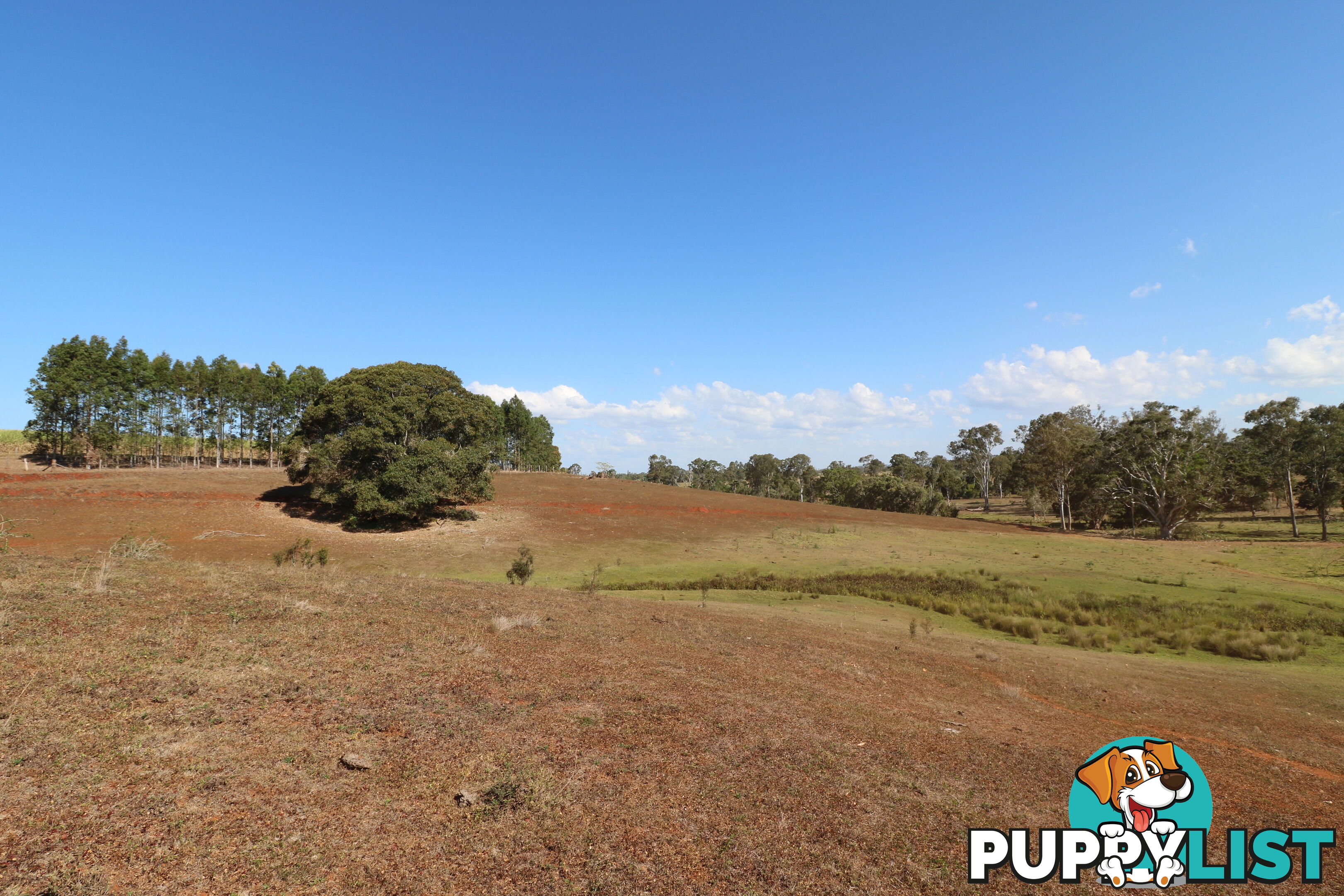 Lot 5 South Isis South Isis QLD 4660