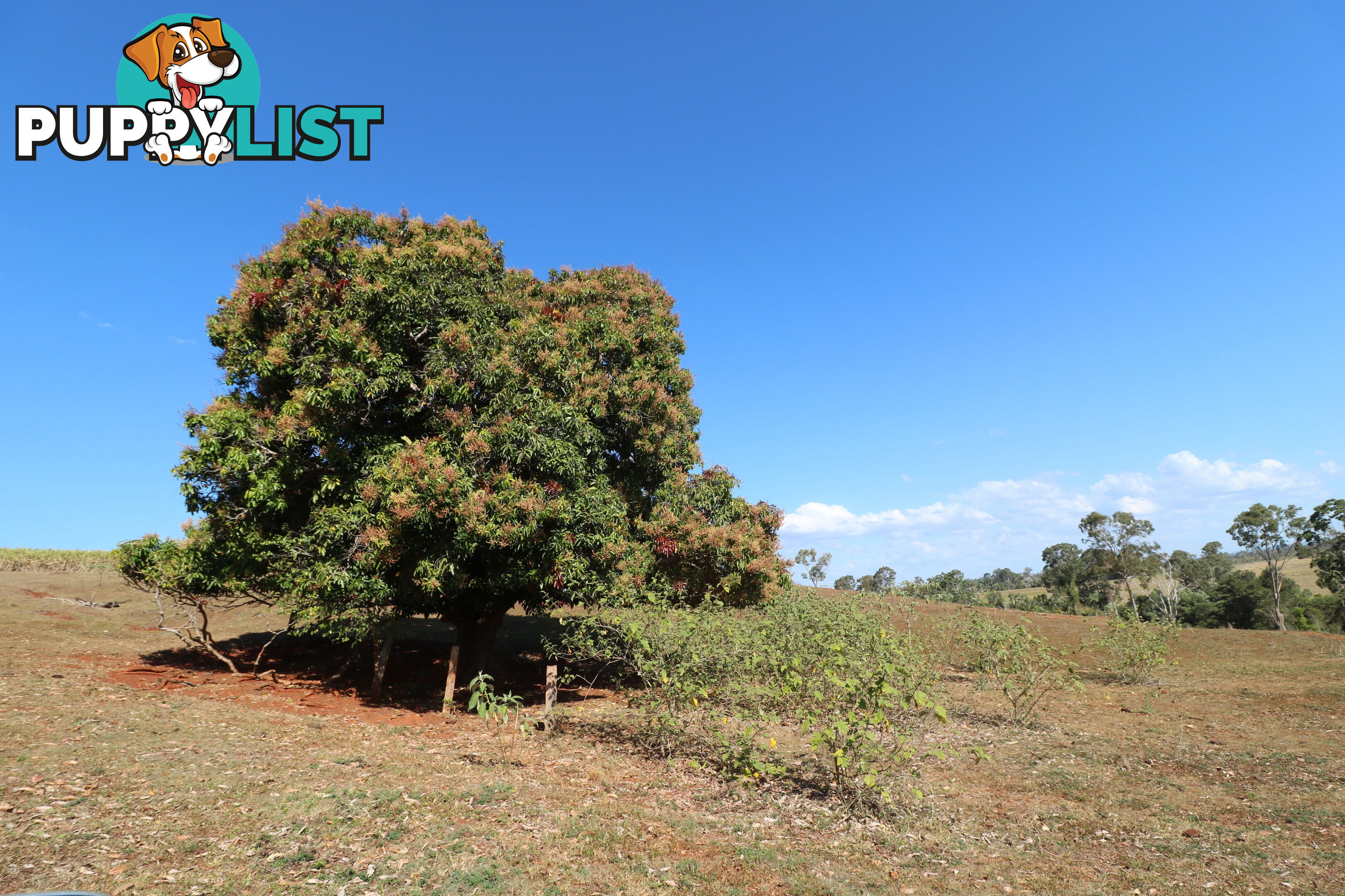 Lot 5 South Isis South Isis QLD 4660