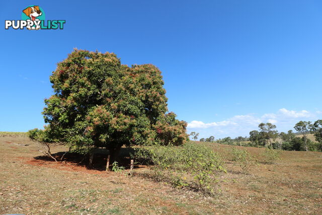 Lot 5 South Isis South Isis QLD 4660