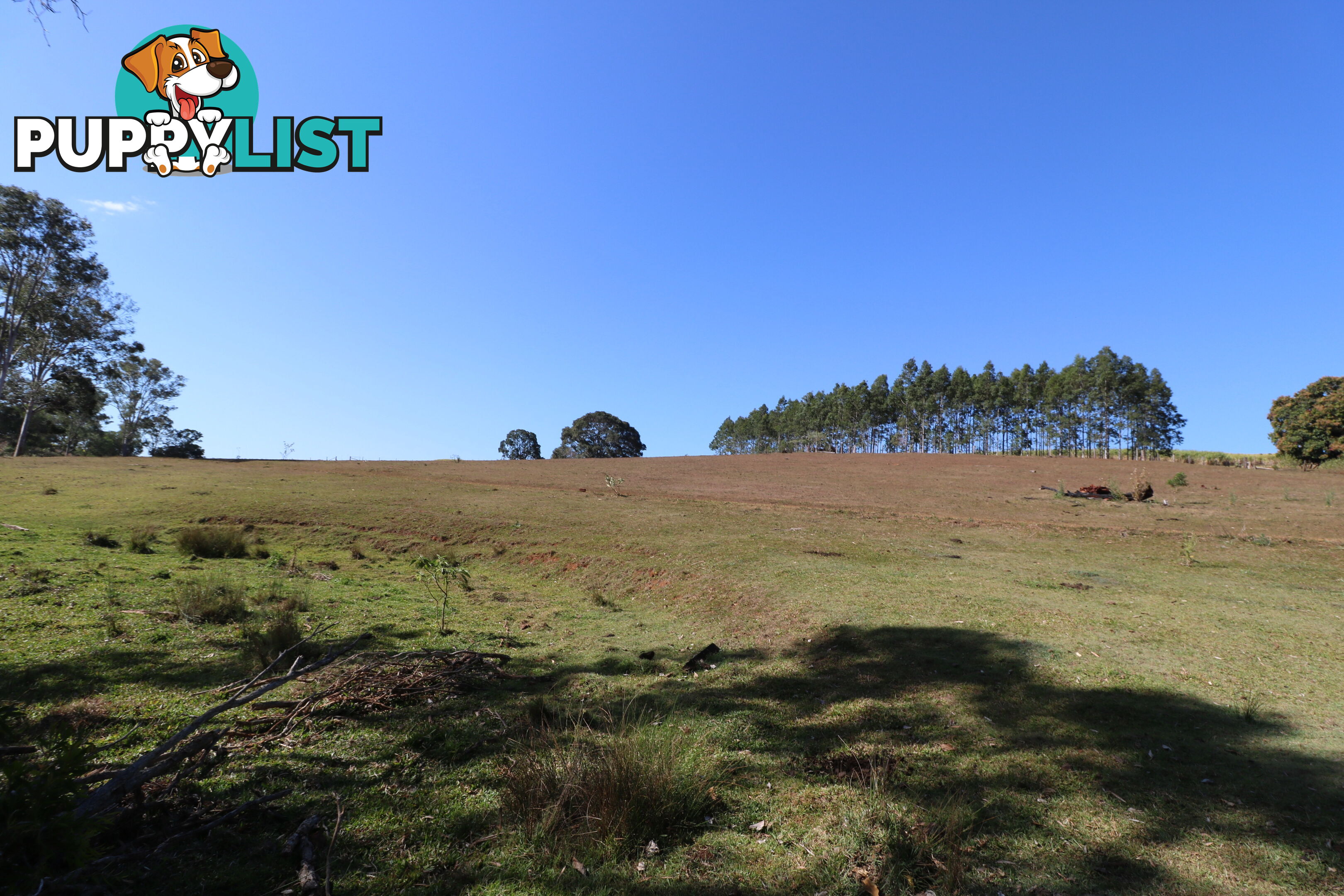 Lot 5 South Isis South Isis QLD 4660