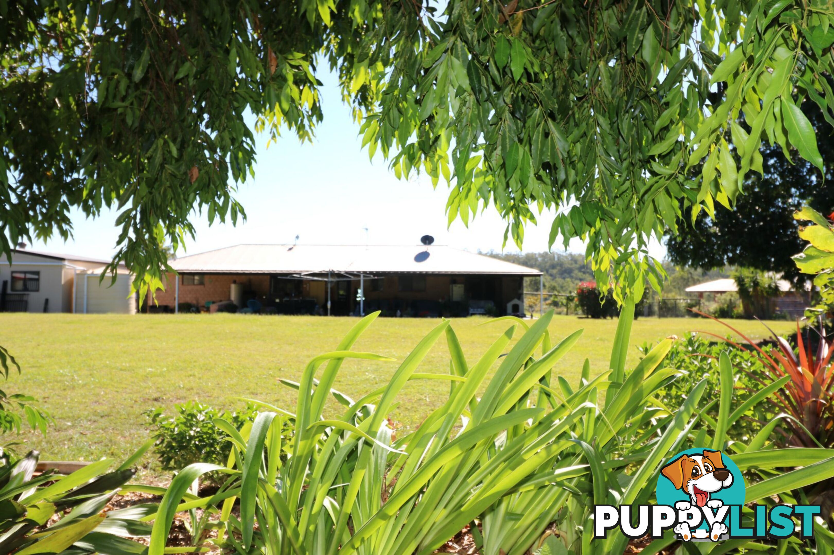 113 Park Avenue, Childers North Isis QLD 4660