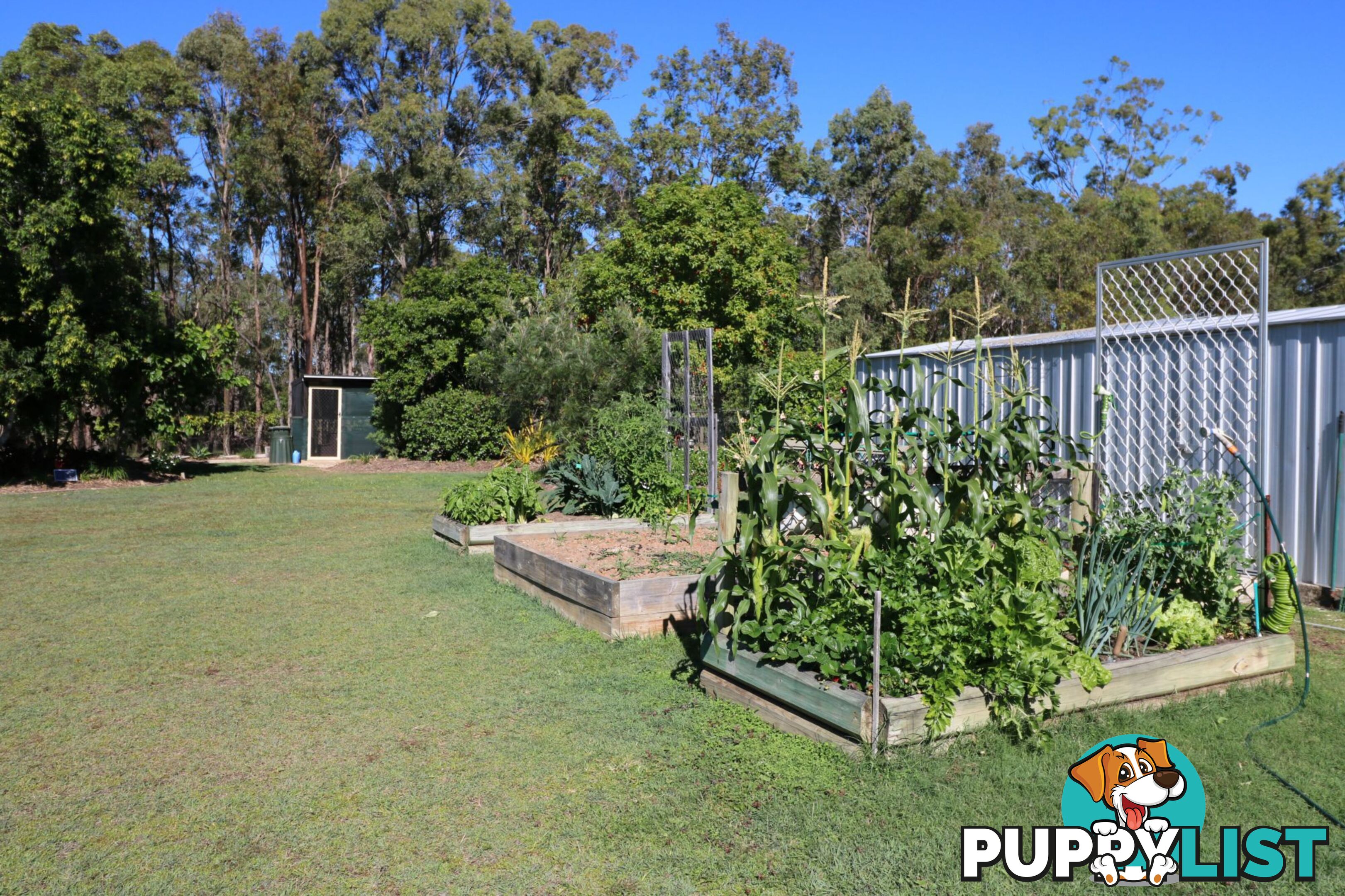 113 Park Avenue, Childers North Isis QLD 4660